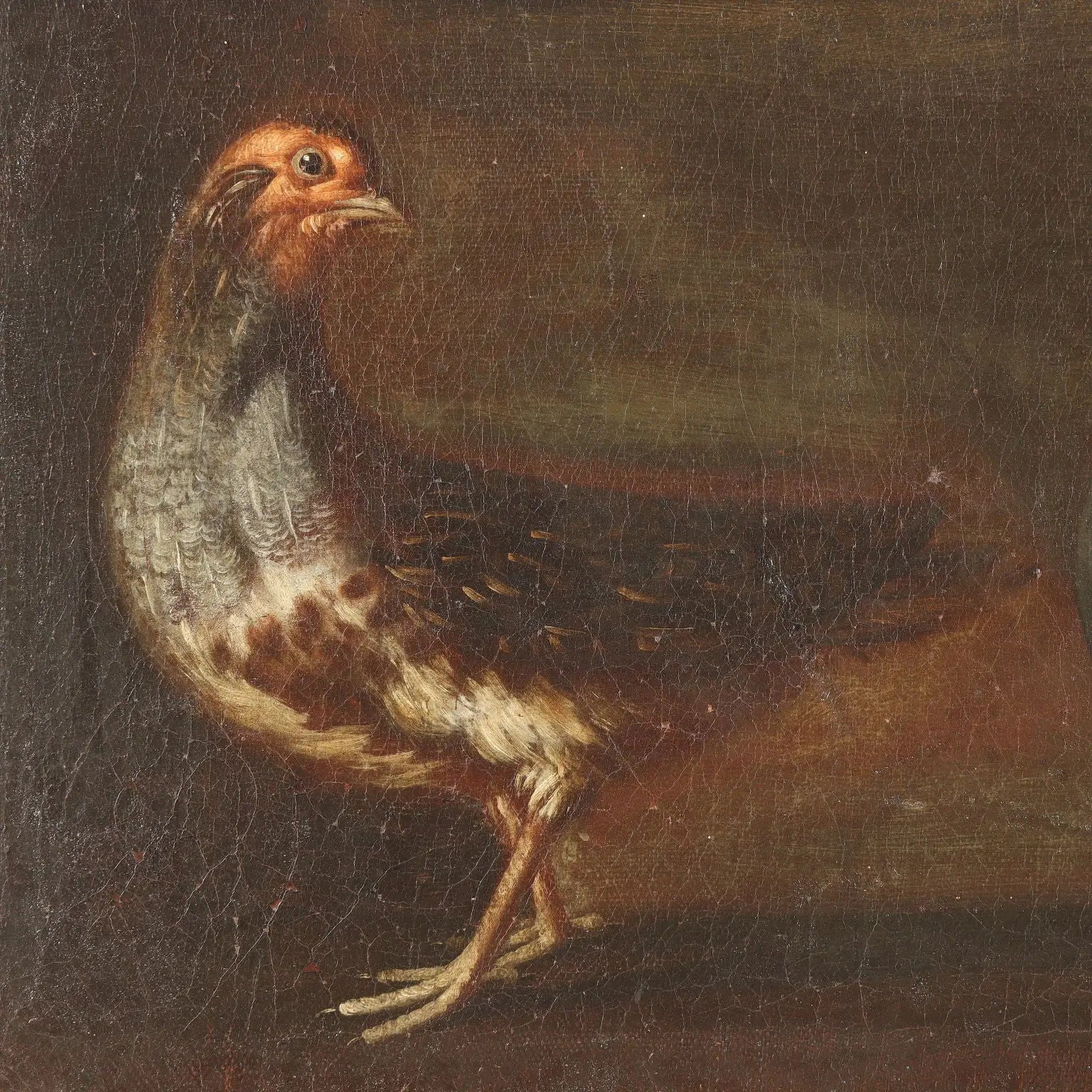 Antique Painting Rabbits and Birds with Game Oil on Canvas XVII Century