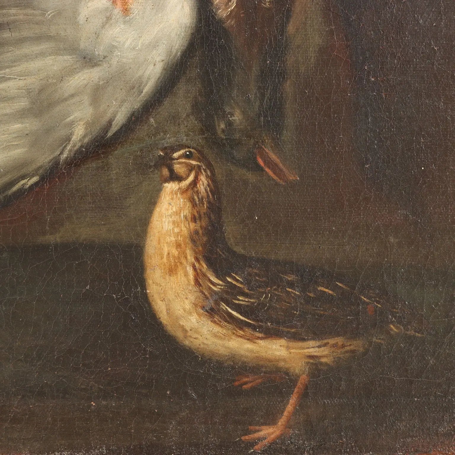 Antique Painting Rabbits and Birds with Game Oil on Canvas XVII Century