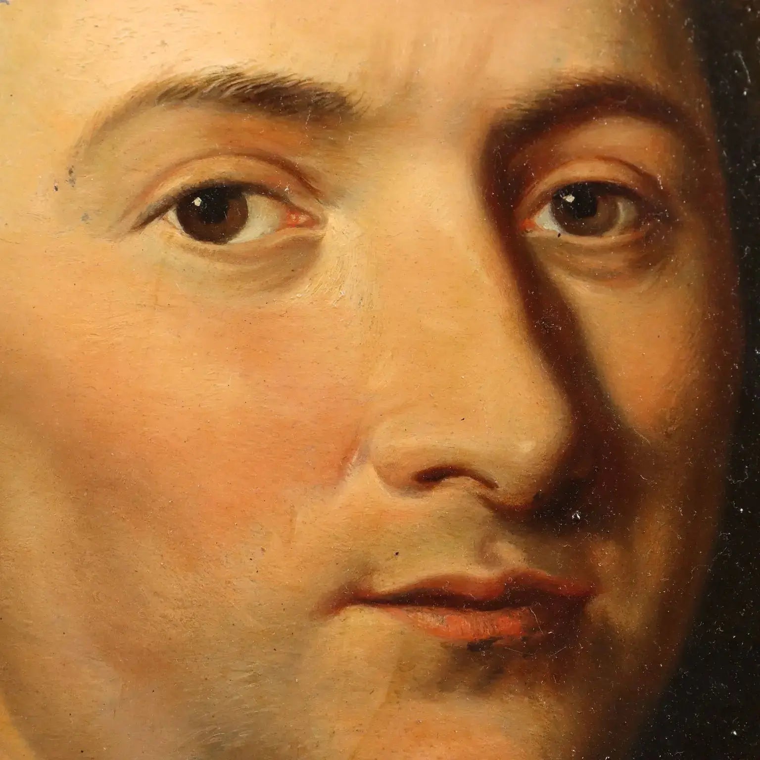 Antique Painting Portrait of Petrus Camper Oil on Hardboard '700