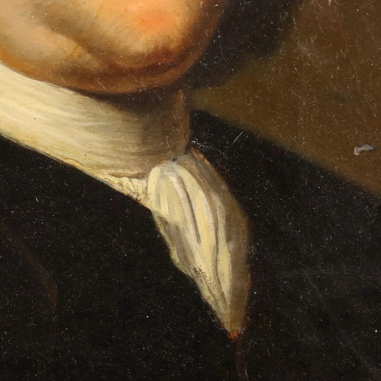 Antique Painting Portrait of Petrus Camper Oil on Hardboard '700