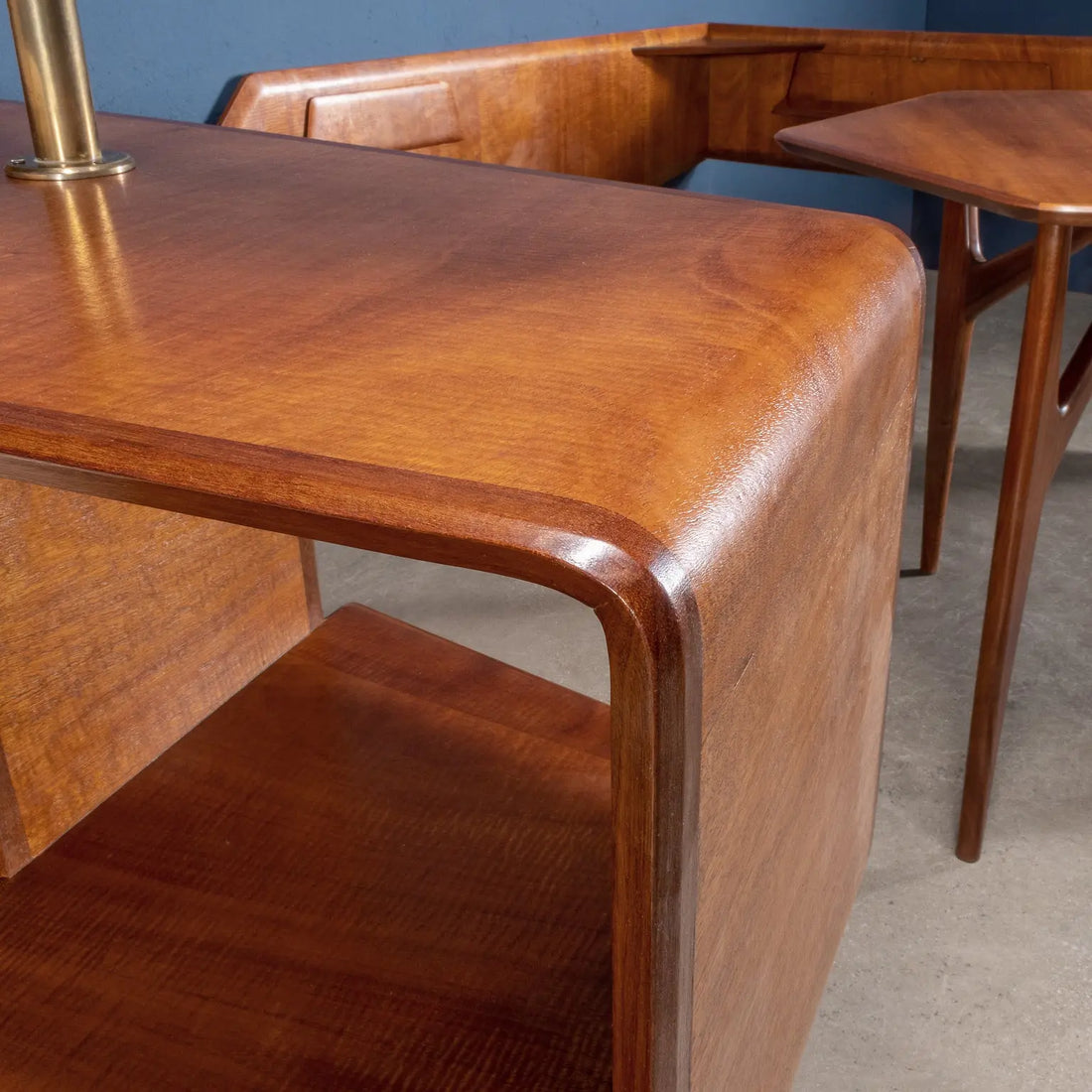 Vintage Living Room Furniture Unique Piece Mahogany Veneer 1950s | Modernism | Furnitures