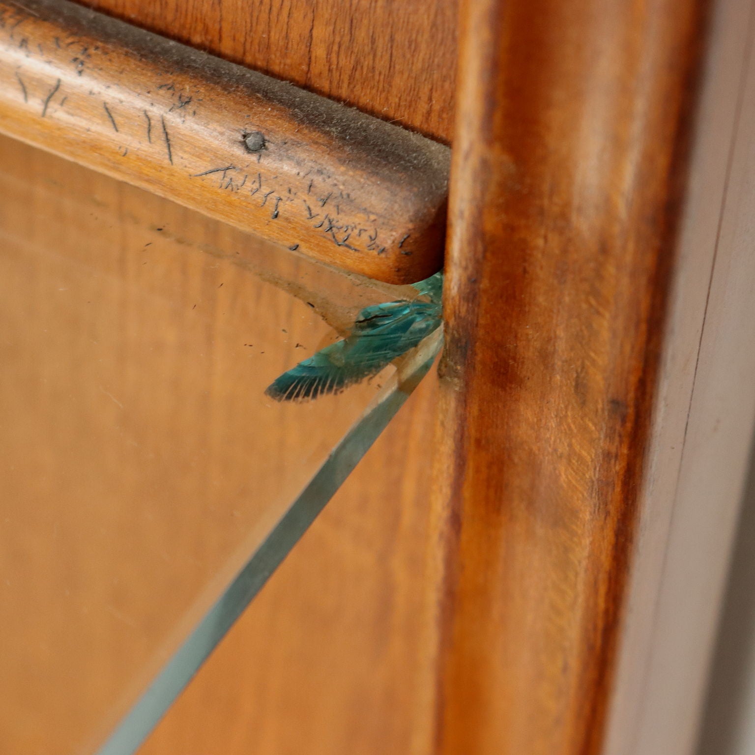  | Modernism  Complements