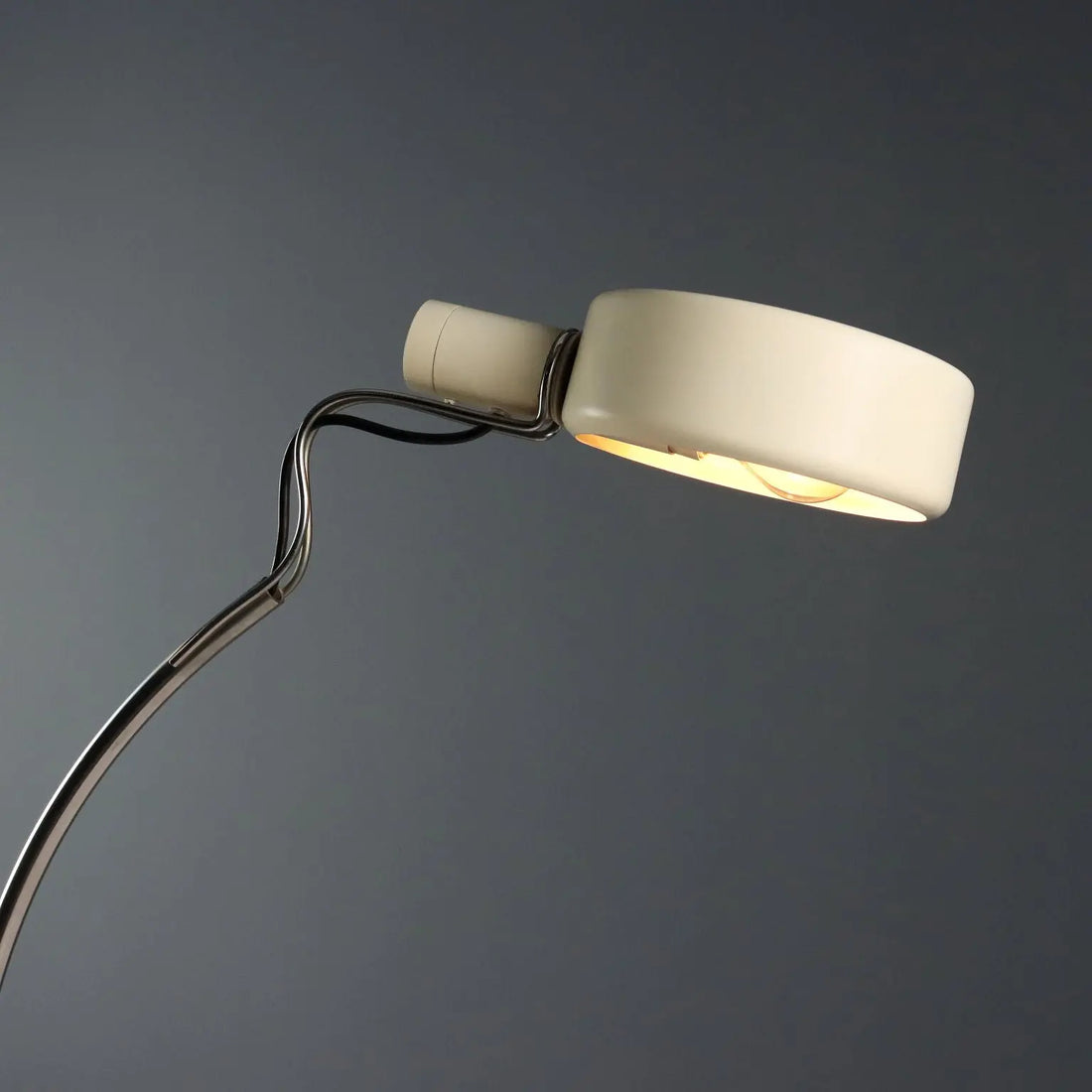 Fontana Arte Salice Lamp Design Richard Carruthers 1980s - 1980s | Modernism | Lighting