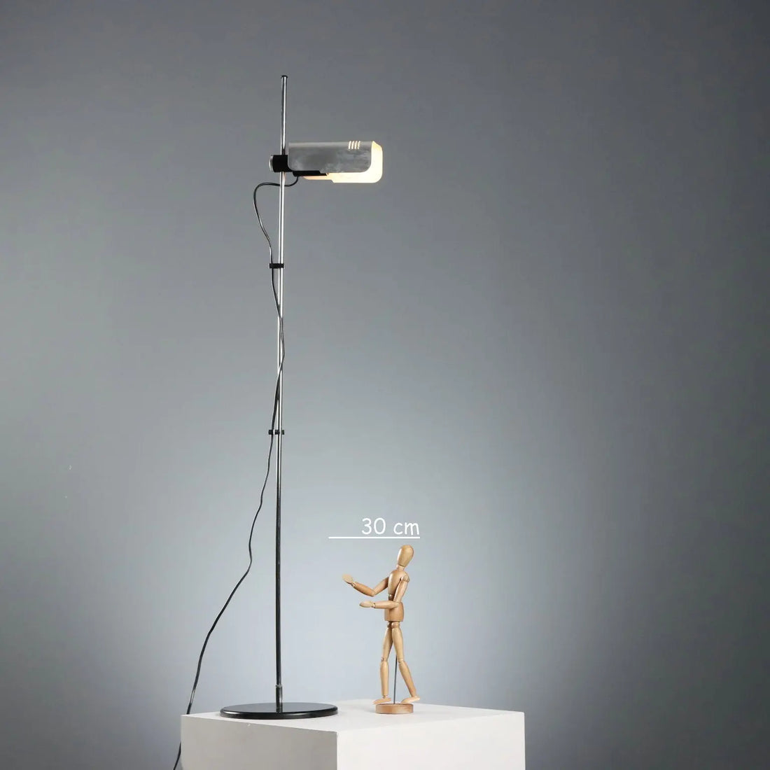Targetti Sankey 1970s Floor Lamp