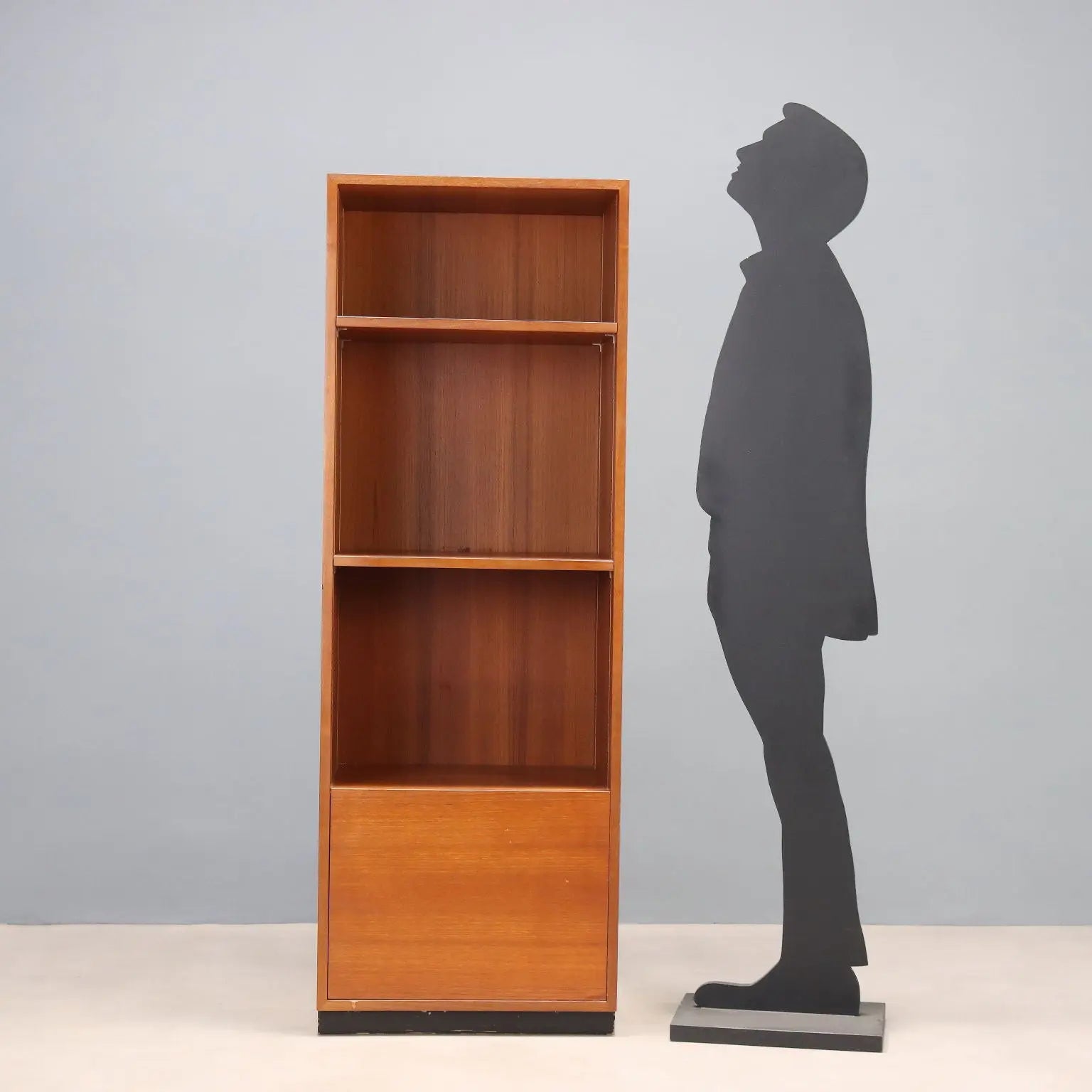 Vintage Bookcase Zingg-Lamprecht Teak Veneer Design 1960s