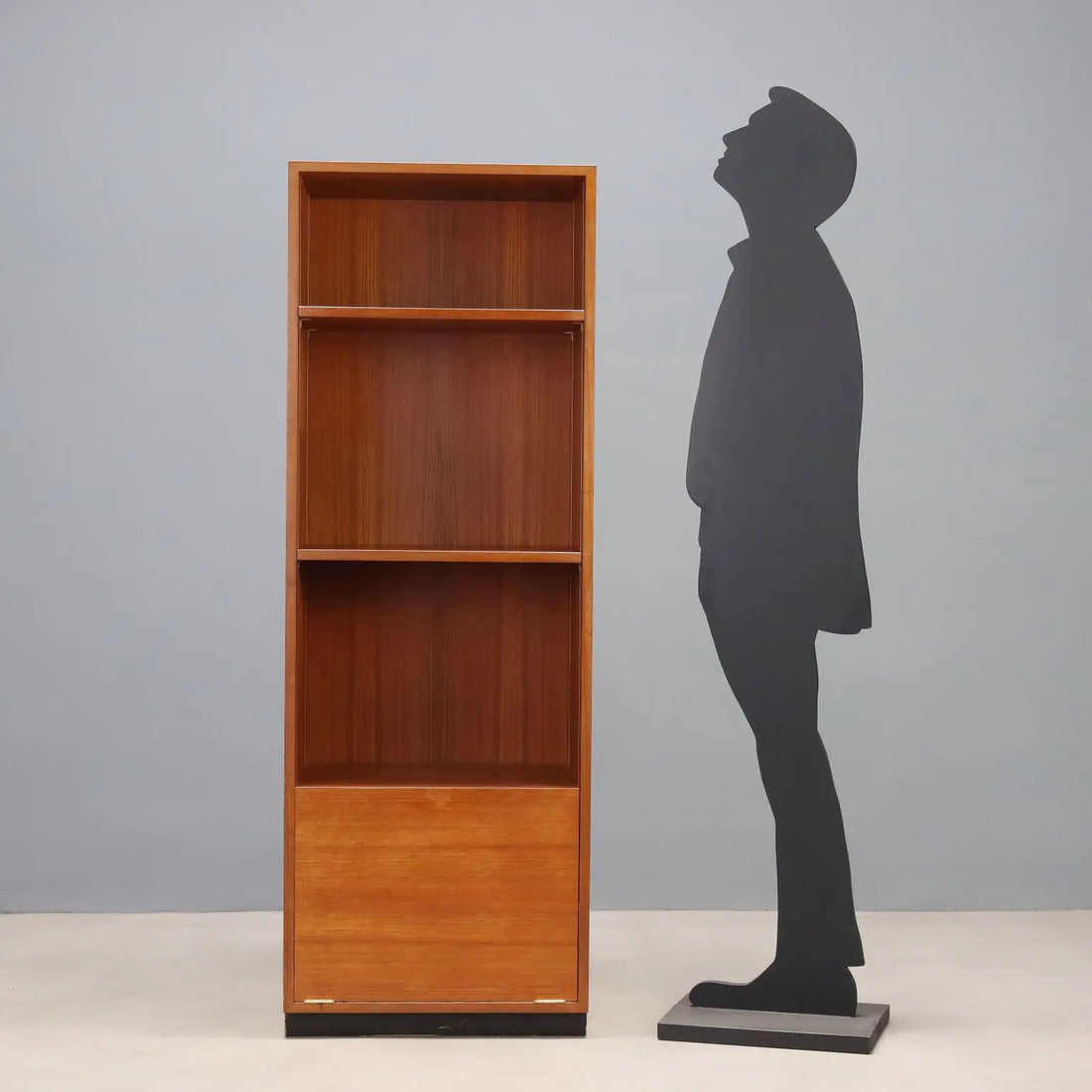 Vintage Bookcase Zingg-Lamprecht Zurich Teak Veneer Design 1960s