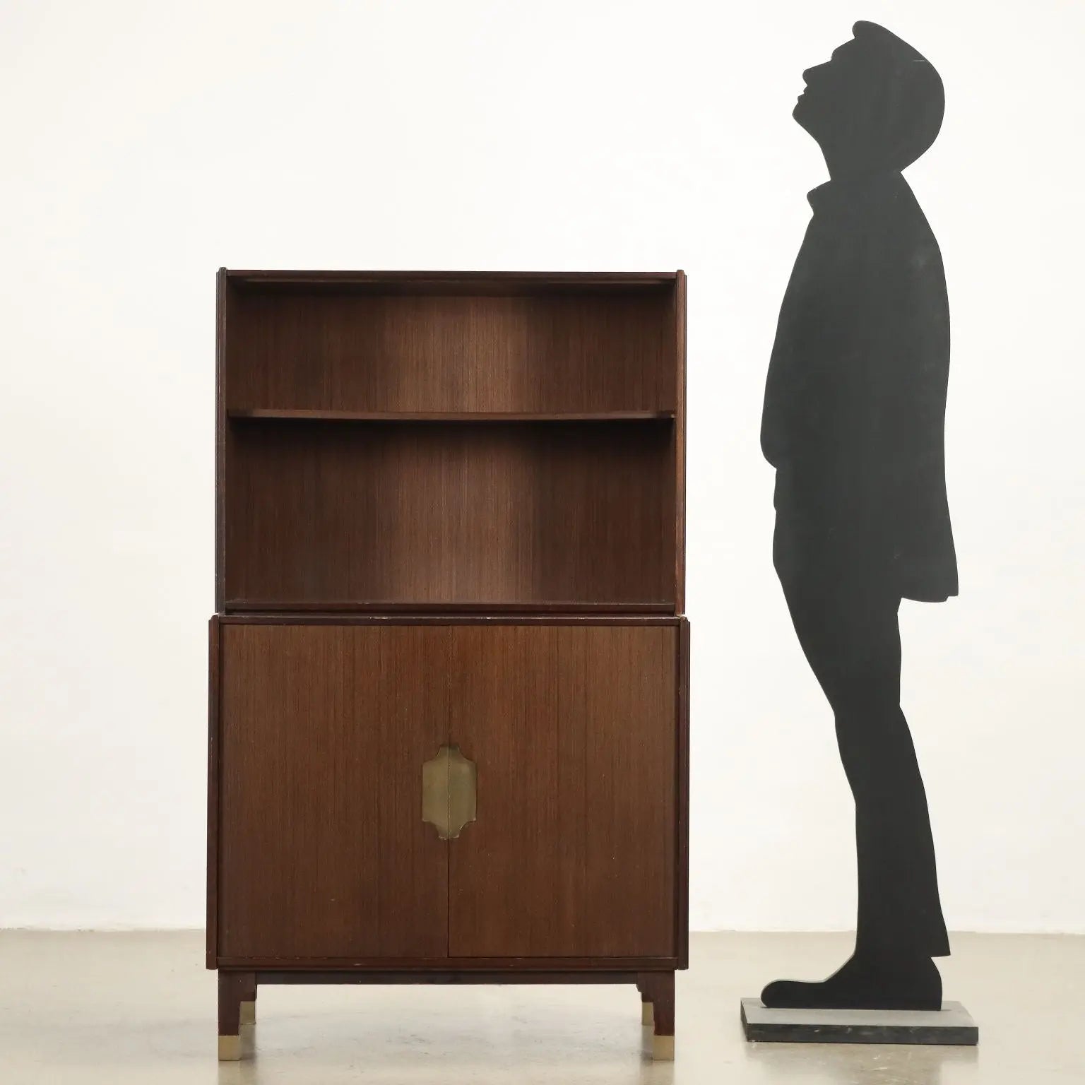 Vintage Cupboard from the 1960s Aluminium Exotic Wood | Modernism | Furnitures