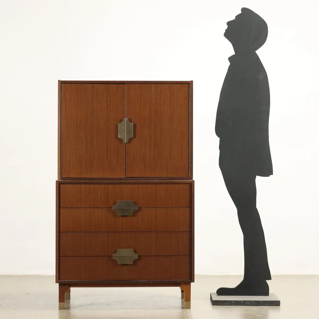 Vintage Cabinet from the 1960s Aluminium Exotic Wood Veneer | Modernism | Furnitures