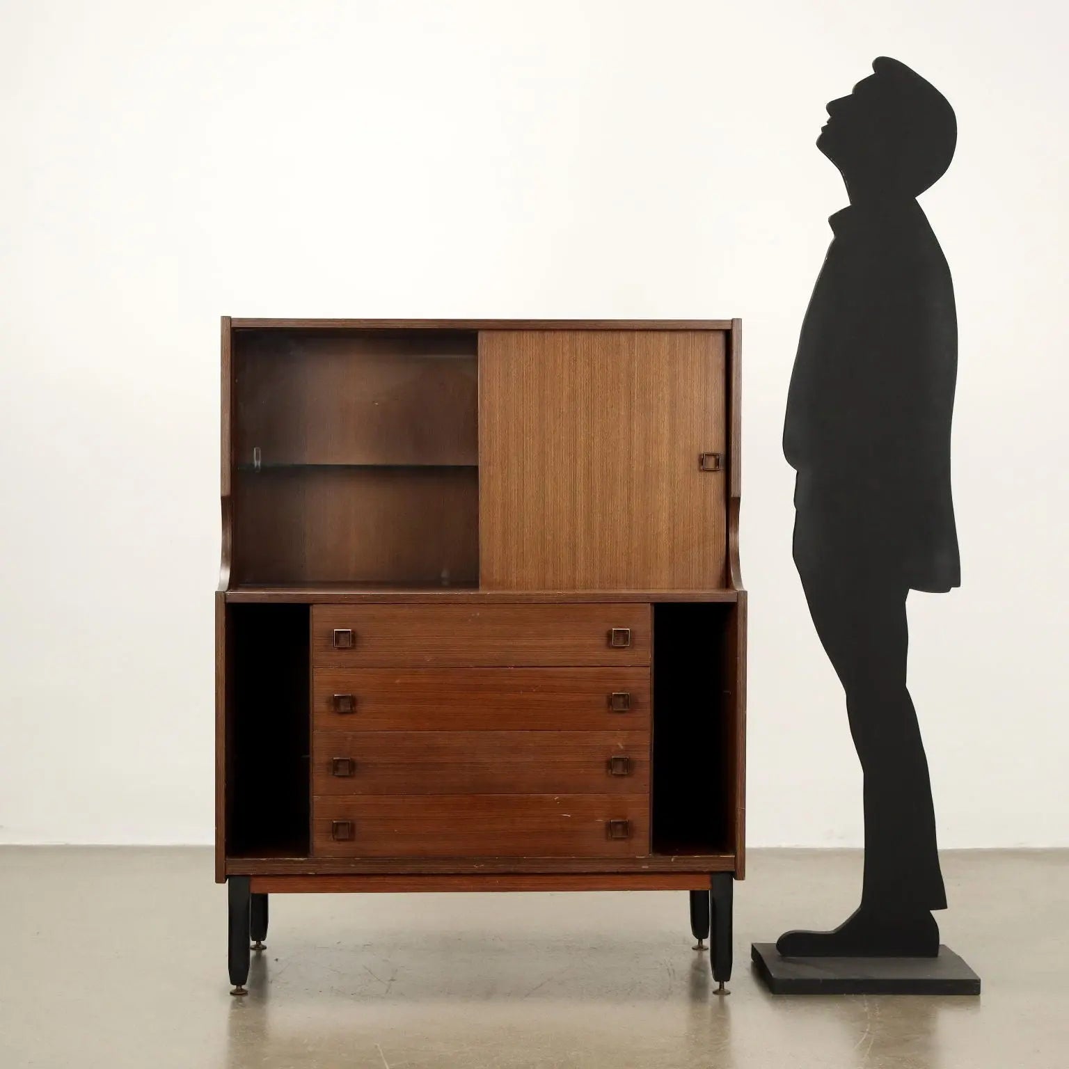 Vintage Cupboard Exotic Wood Veneer Italy 1960s | Modernism | Furnitures
