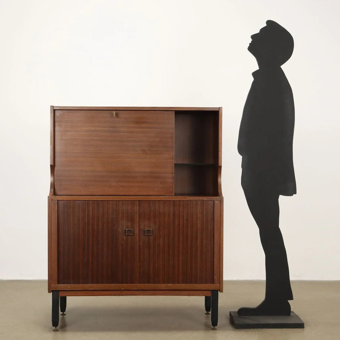 Vintage 1960s Cupboard Exotic Wood Veneer Italy | Modernism | Furnitures