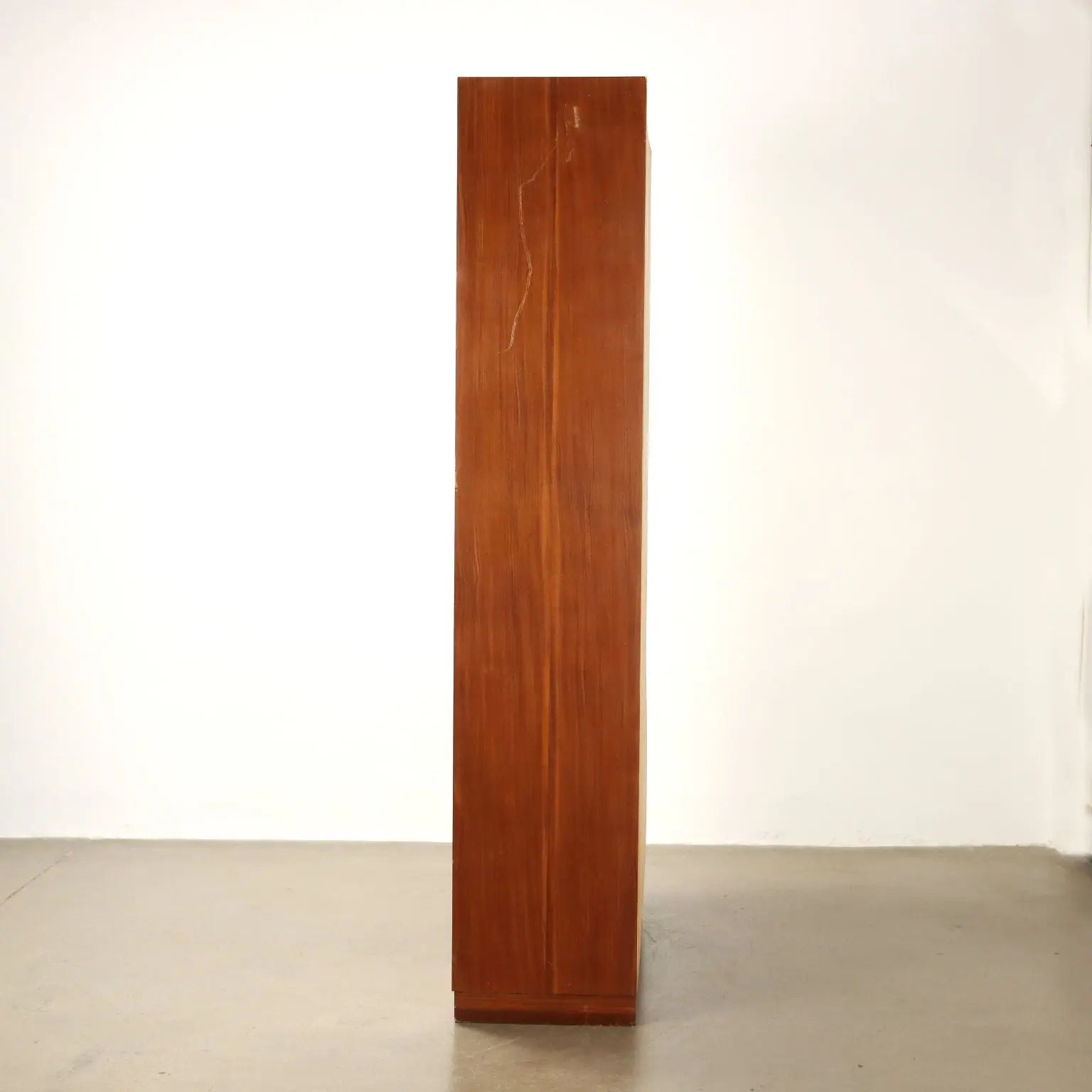 Vintage 1960s Cabinet Mahogany Veneer Aluminium | Modernism | Furnitures
