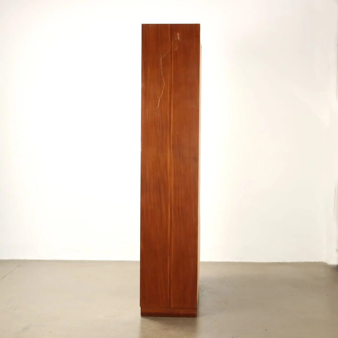 Vintage 1960s Cabinet Mahogany Veneer Aluminium | Modernism | Furnitures