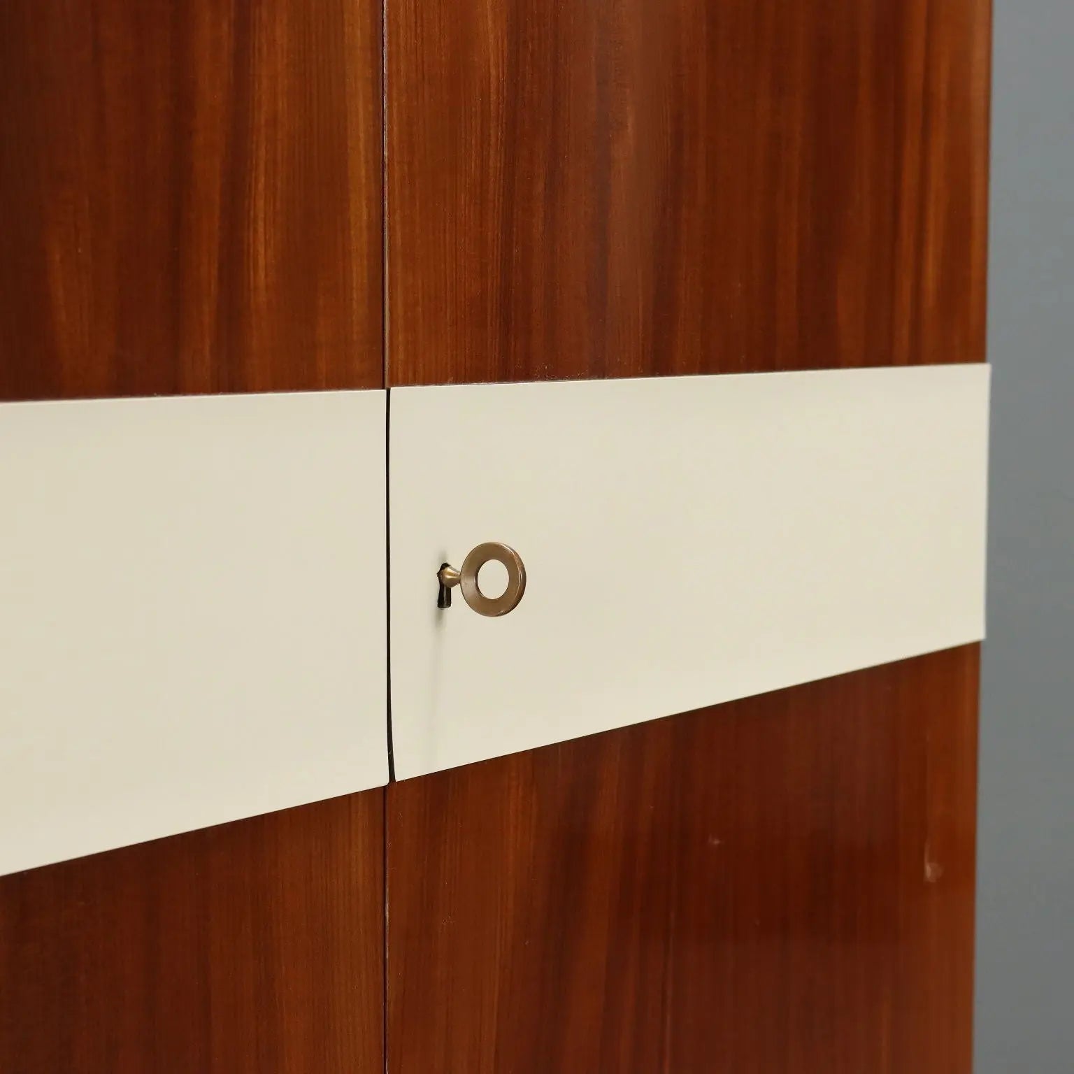 Vintage Wardrobe Mahogany Veneer Laminate Design 1960s | Modernism | Furnitures
