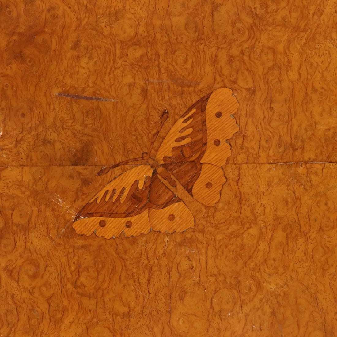 Vintage Cupboard Walnut Veneer Burl Design Italy 1950s