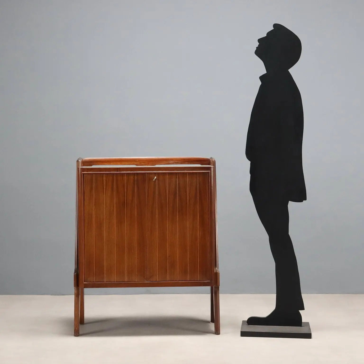 Vintage Cupboard Exotic Wood Veneer Design 1950s-1960s
