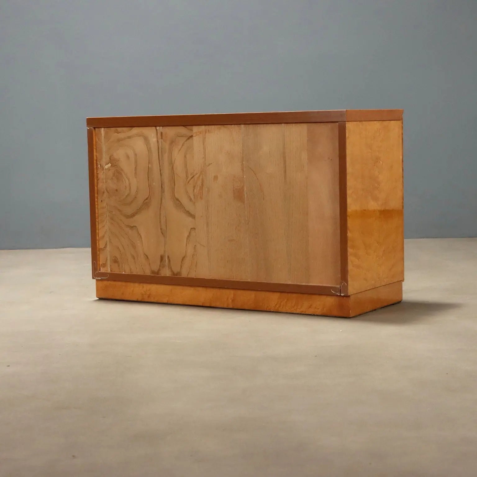 Vintage Cabinet Burl Veneer Polyester Design Italy 1980s