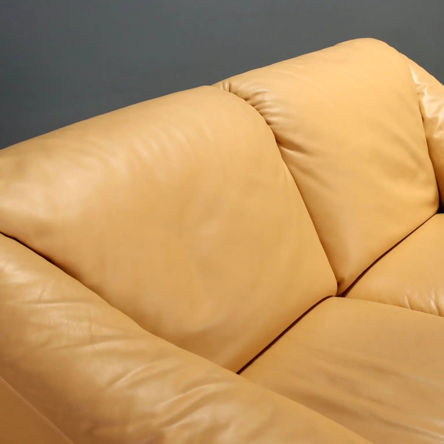 Vintage Sofa Poltrona Frau Serenade Desin Tito Agnoli Italy 1990s