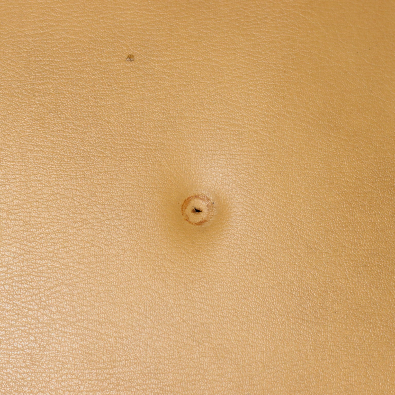  | Modernism  Armchairs