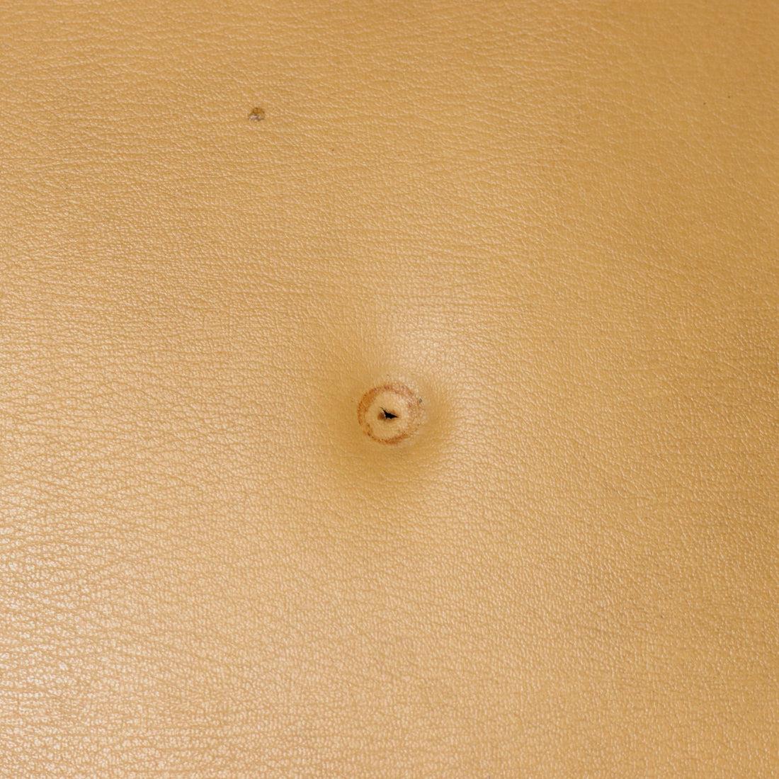  | Modernism  Armchairs