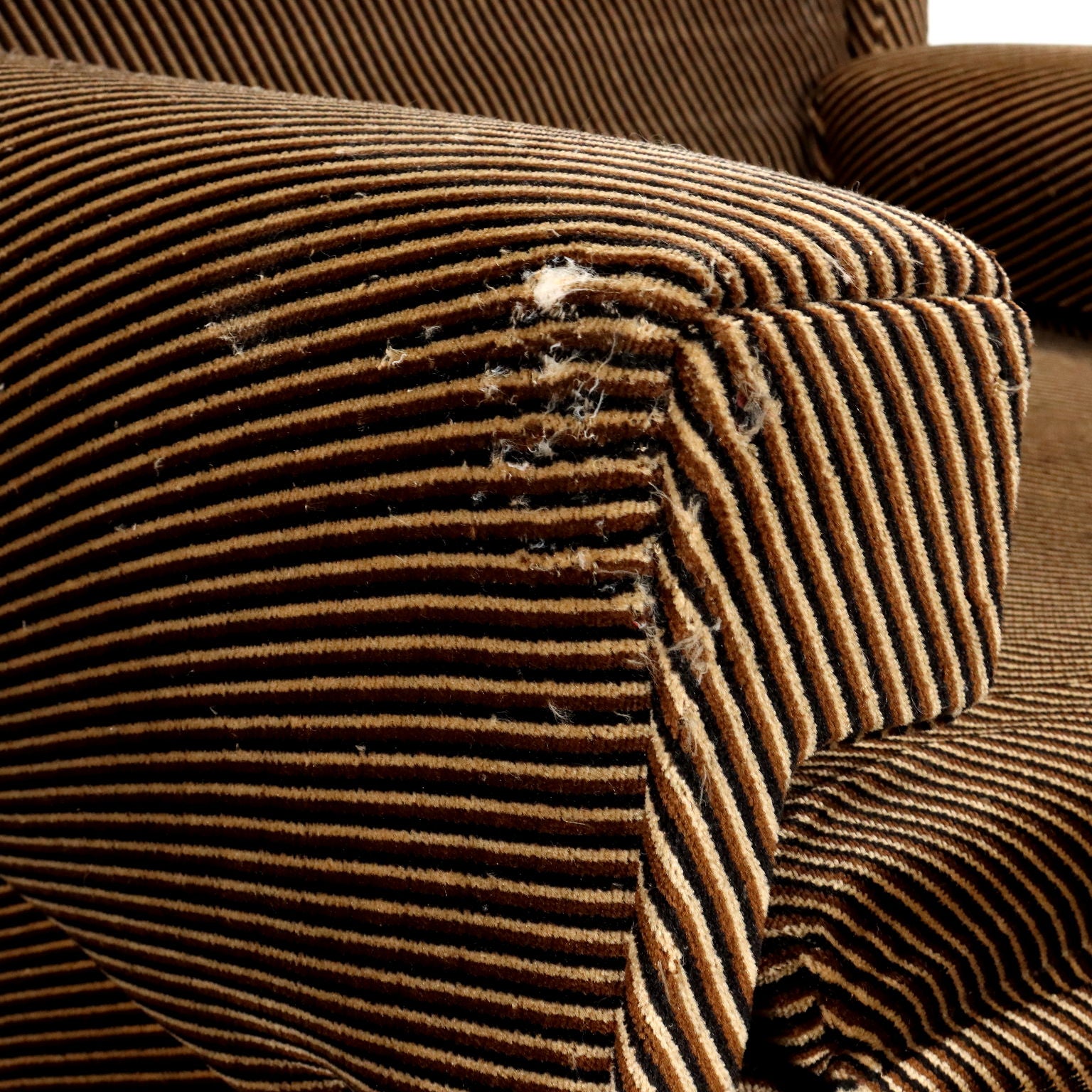 Vintage Armchairs Velvet Foam Italy 1960s-1970s | Modernism  Armchairs