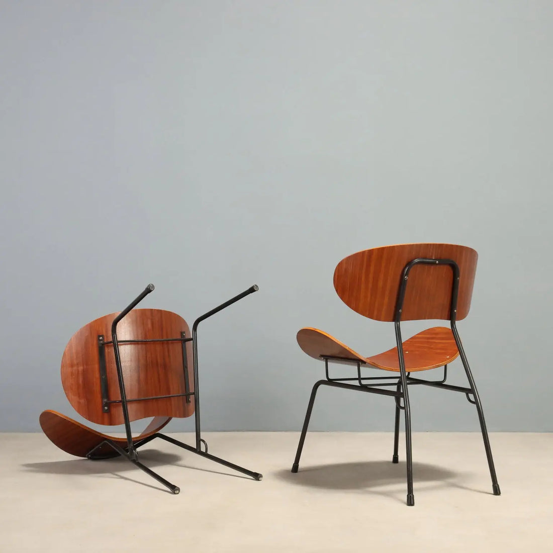 Vintage Armchairs T. Silvana Comfort Design Carlo Ratti 1950s