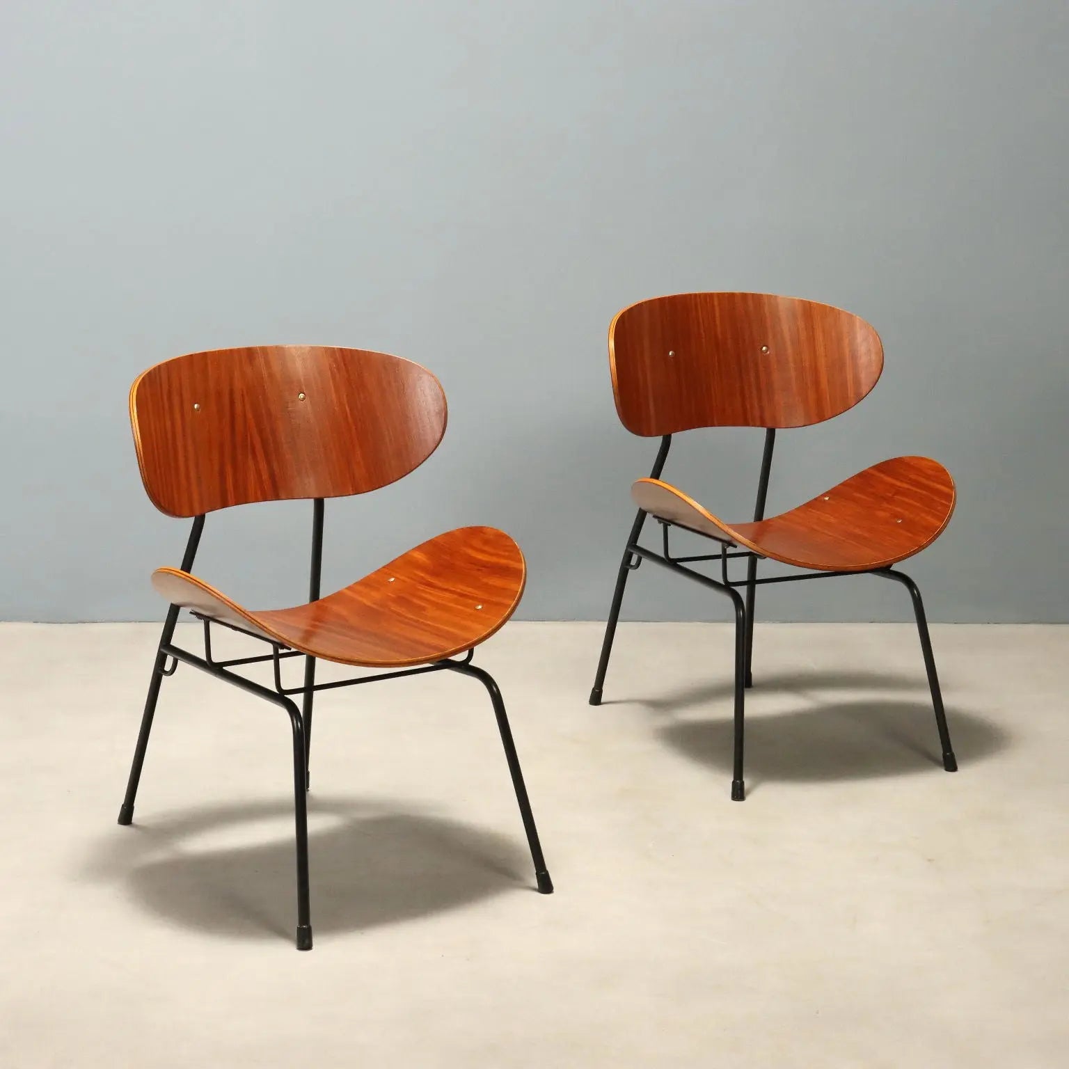 Vintage Armchairs T. Silvana Comfort Design Carlo Ratti 1950s