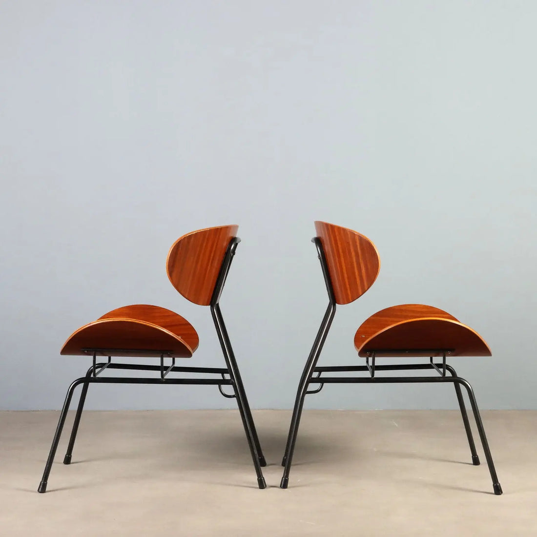 Vintage Armchairs T. Silvana Comfort Design Carlo Ratti 1950s