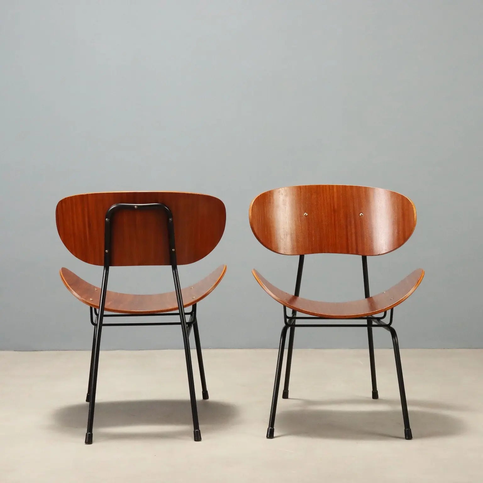 Vintage Armchairs T. Silvana Comfort Design Carlo Ratti 1950s
