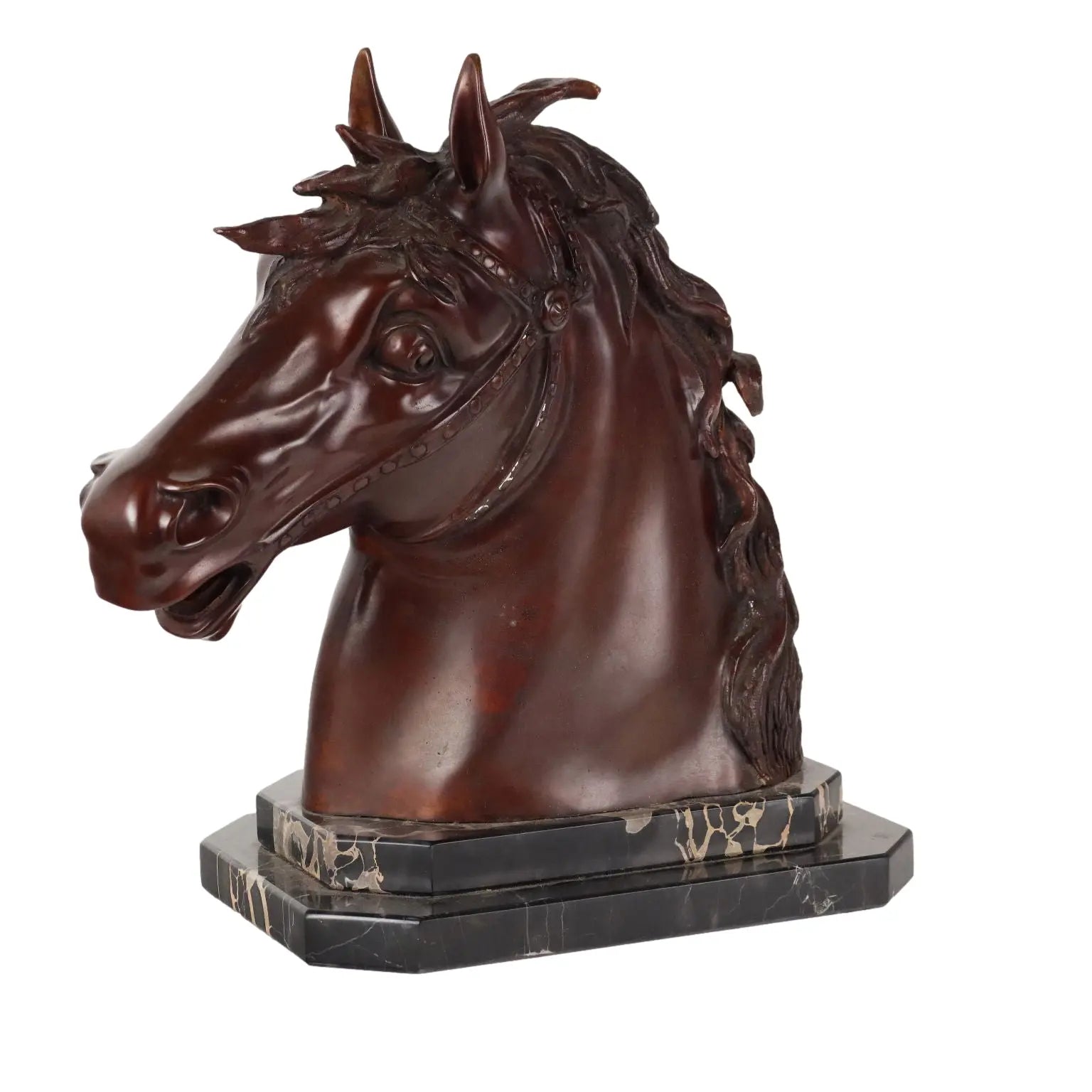 Modern Bronze Sculpture Horse Head F.G. Ruocco Naples XX Century - Italy, Late XX Century | Antiques | Bronzes