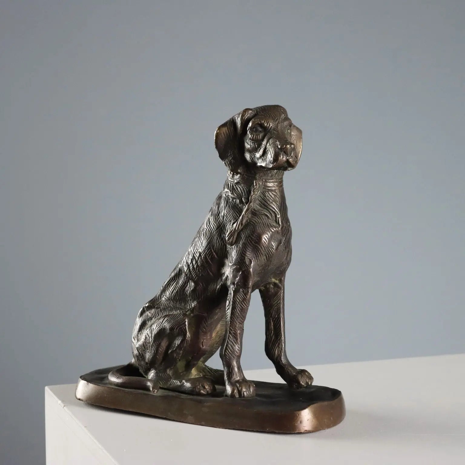Antique Sculpture Bronze Dog Italy Early XX Century