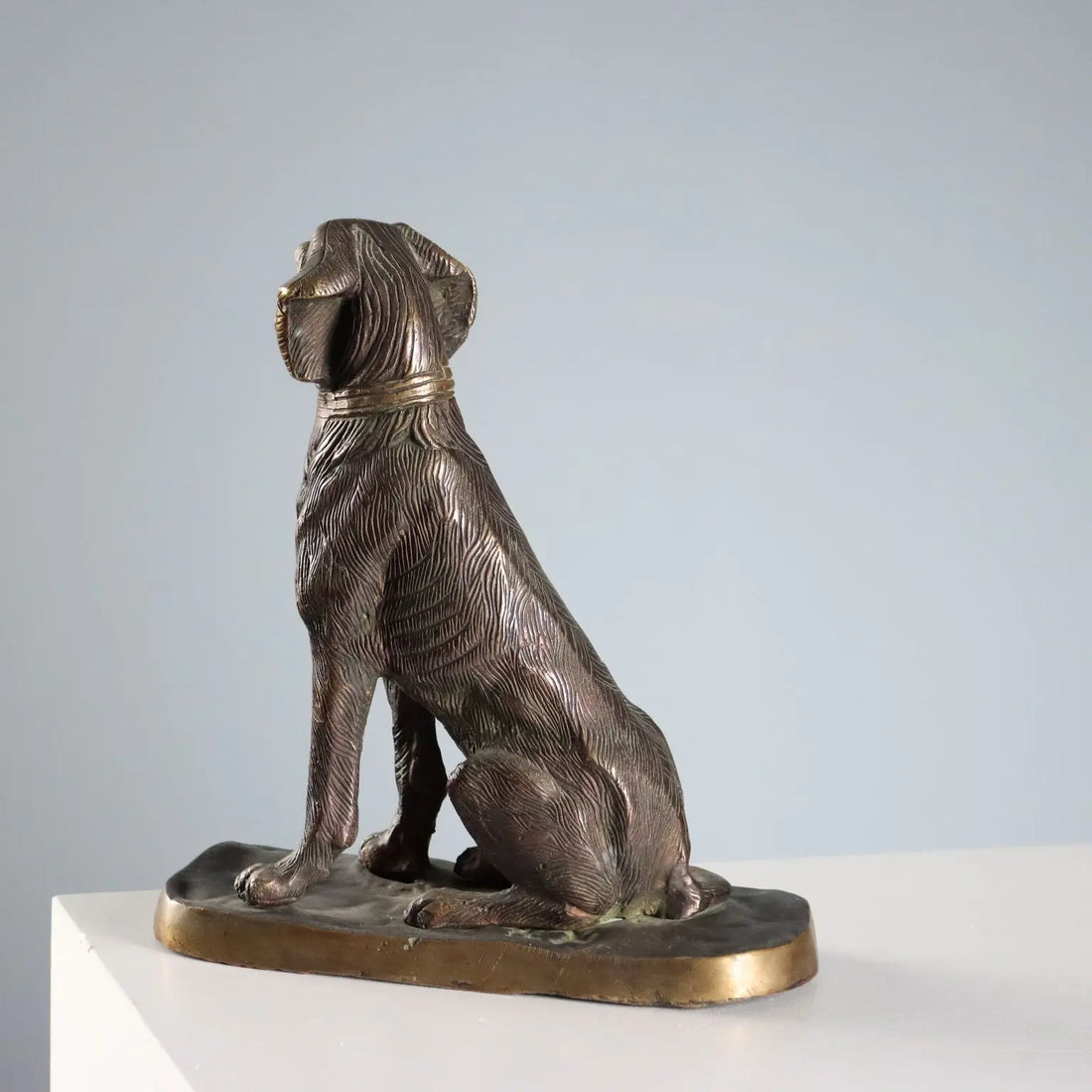 Antique Sculpture Bronze Dog Italy Early XX Century