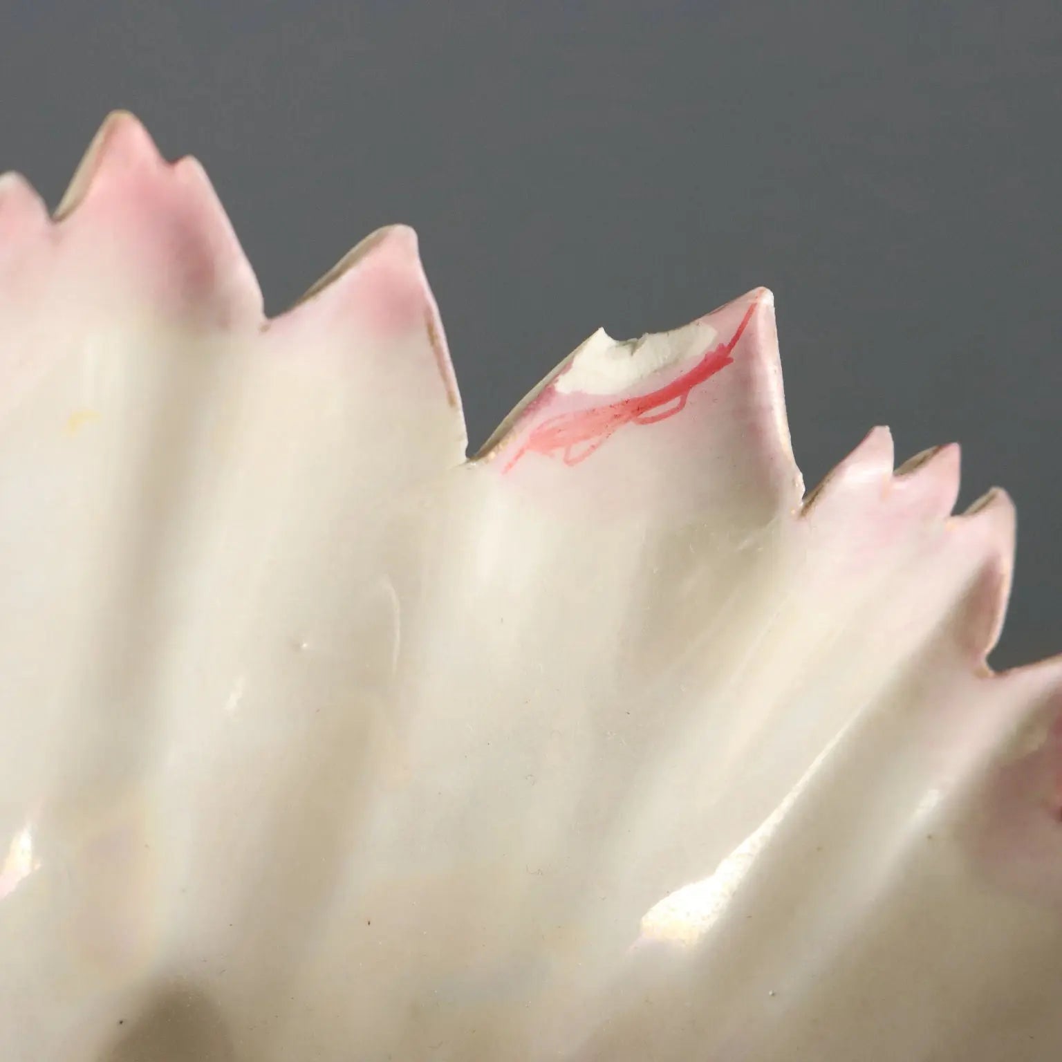 Antique Vase Shell-Shaped Art Nouveau Porcelain XIX-XX Century - Europe, XIX-XX Century | Antiques | Ceramics Products