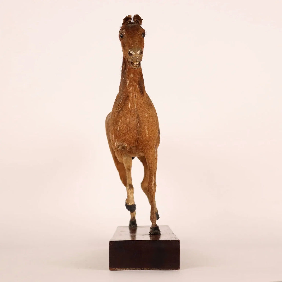 Horse Sculpture by H. Fratin Wood France 1818 ca. - Paris, 1818 ca. | Antiques | Fancy Goods