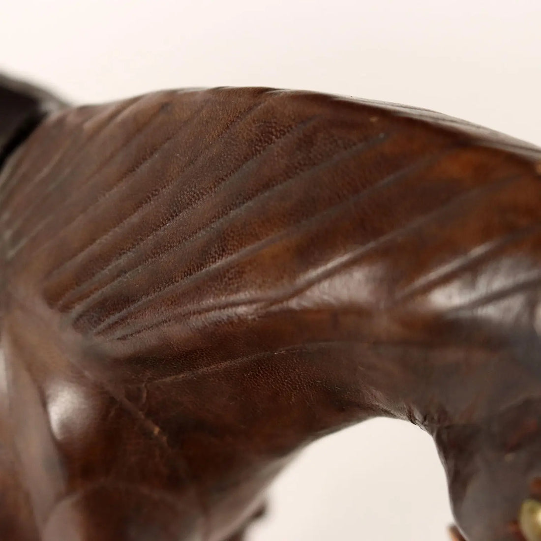 Horse in Leather and Papier-Mâché from the XIX-XX Century - Italy Late 19th - Early 20th Century | Antiques | Fancy Goods