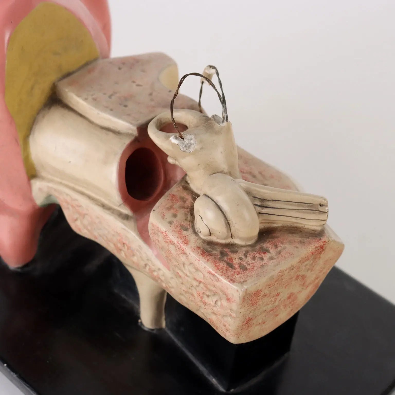 Antique Anatomical Model of a Human Ear Plaster Italy 1940s-1950s - Europe, 1940s-1950s | Antiques | Fancy Goods