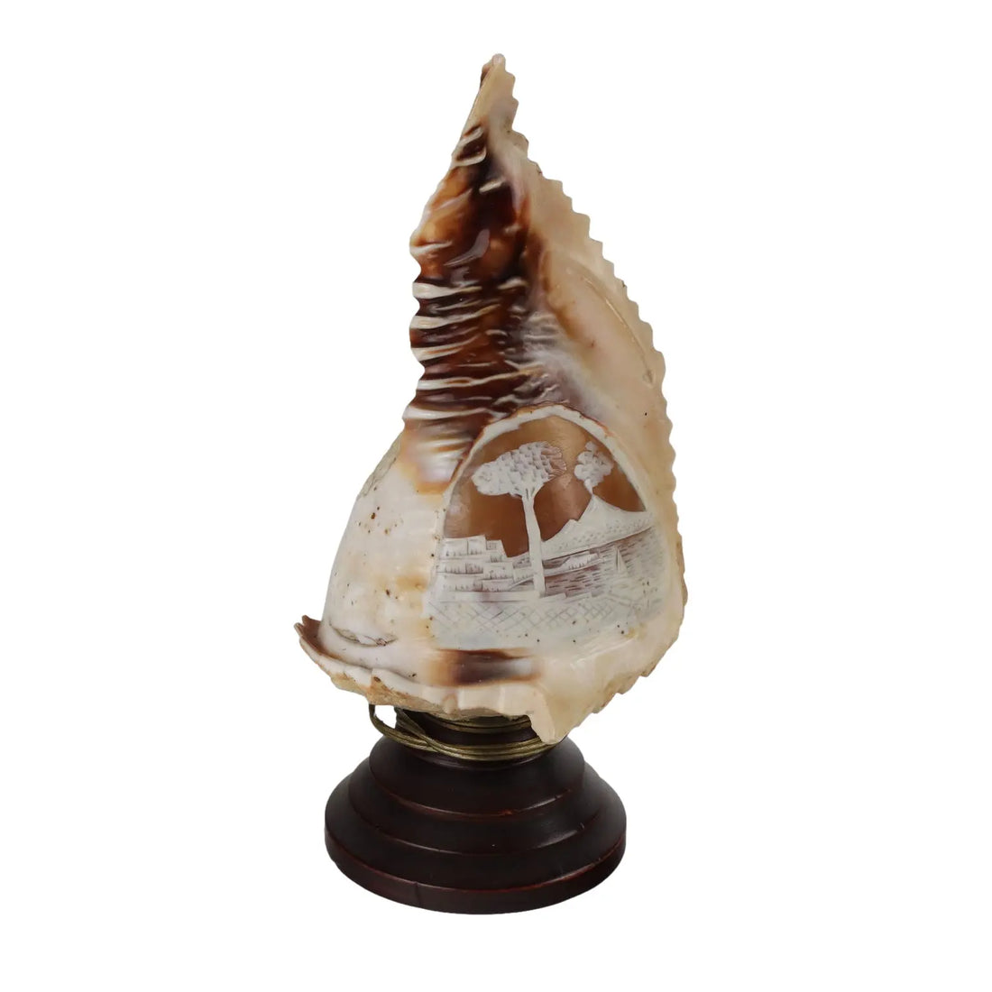 Ancient Lamp Shell Italy '900 Engraved Wood non Contemporary - Italy, Late XIX-Early XX Century | Antiques | Fancy Goods