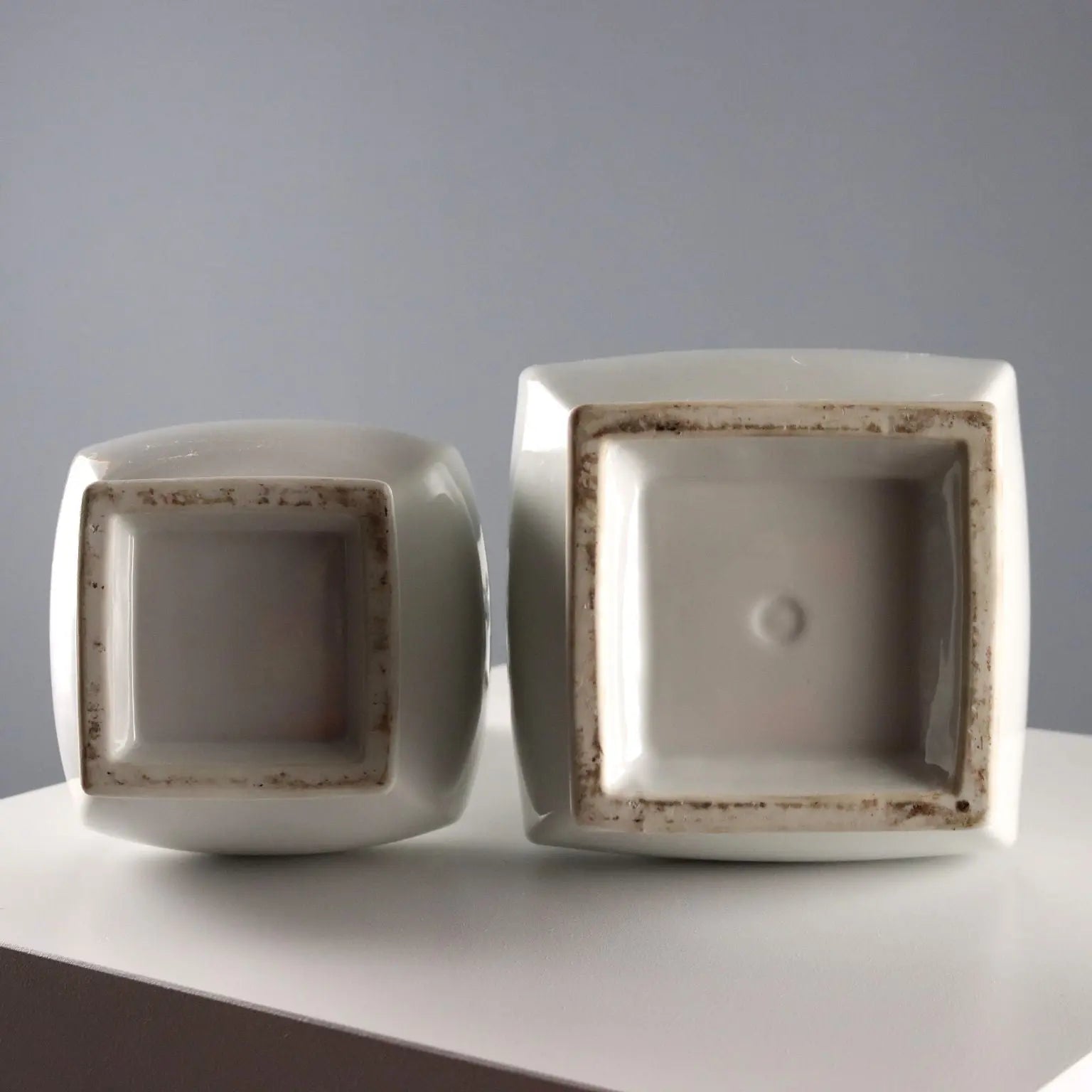 Pair of Chinese Porcelain Vases - 20th Century