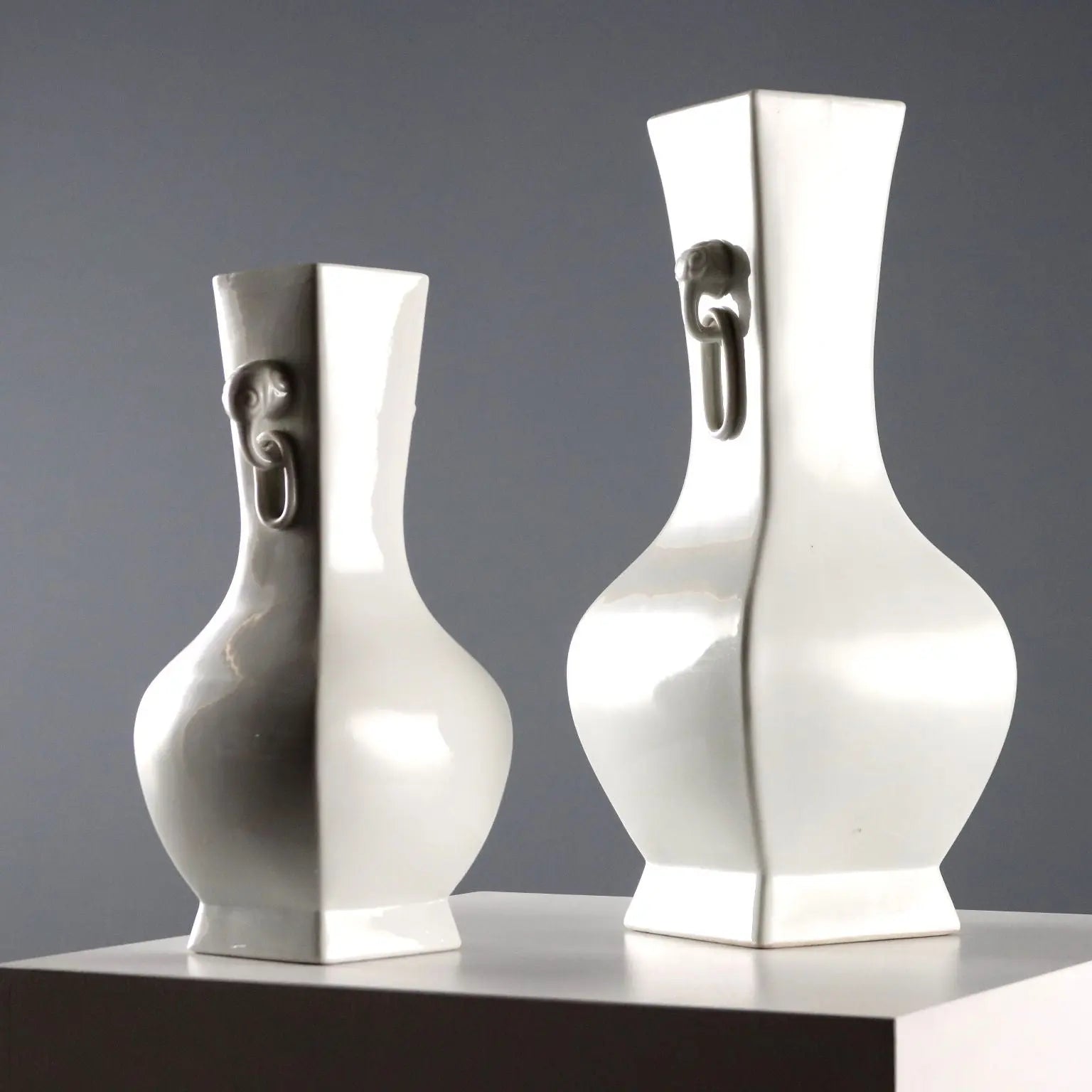 Pair of Chinese Porcelain Vases - 20th Century