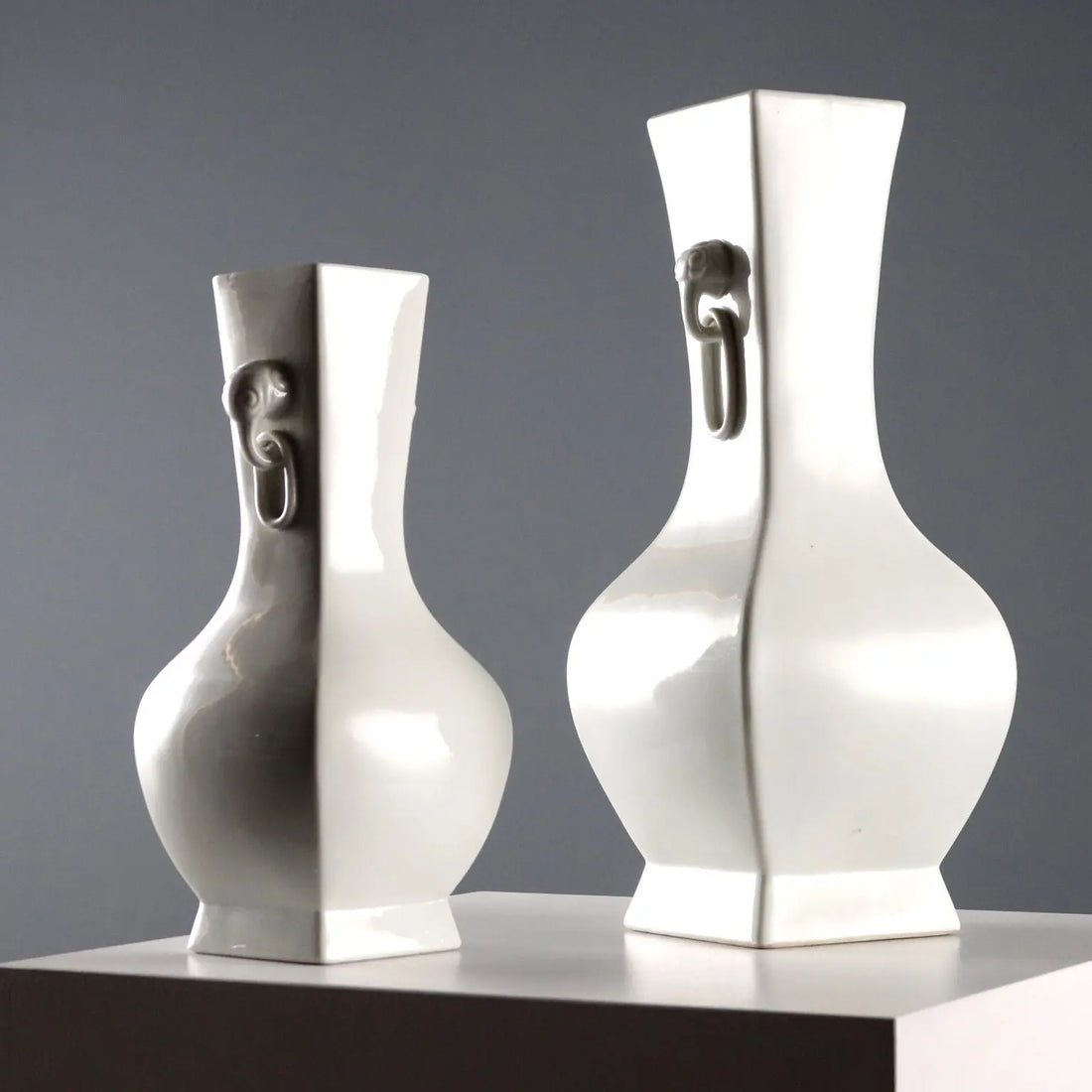 Pair of Chinese Porcelain Vases - 20th Century