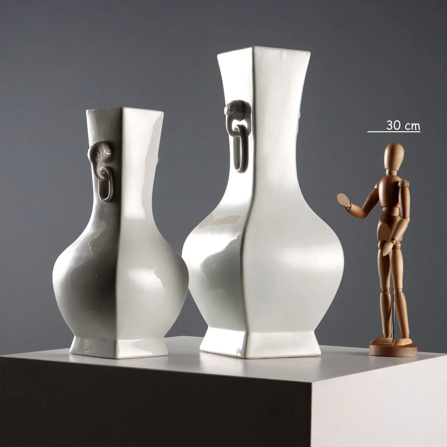 Pair of Chinese Porcelain Vases - 20th Century