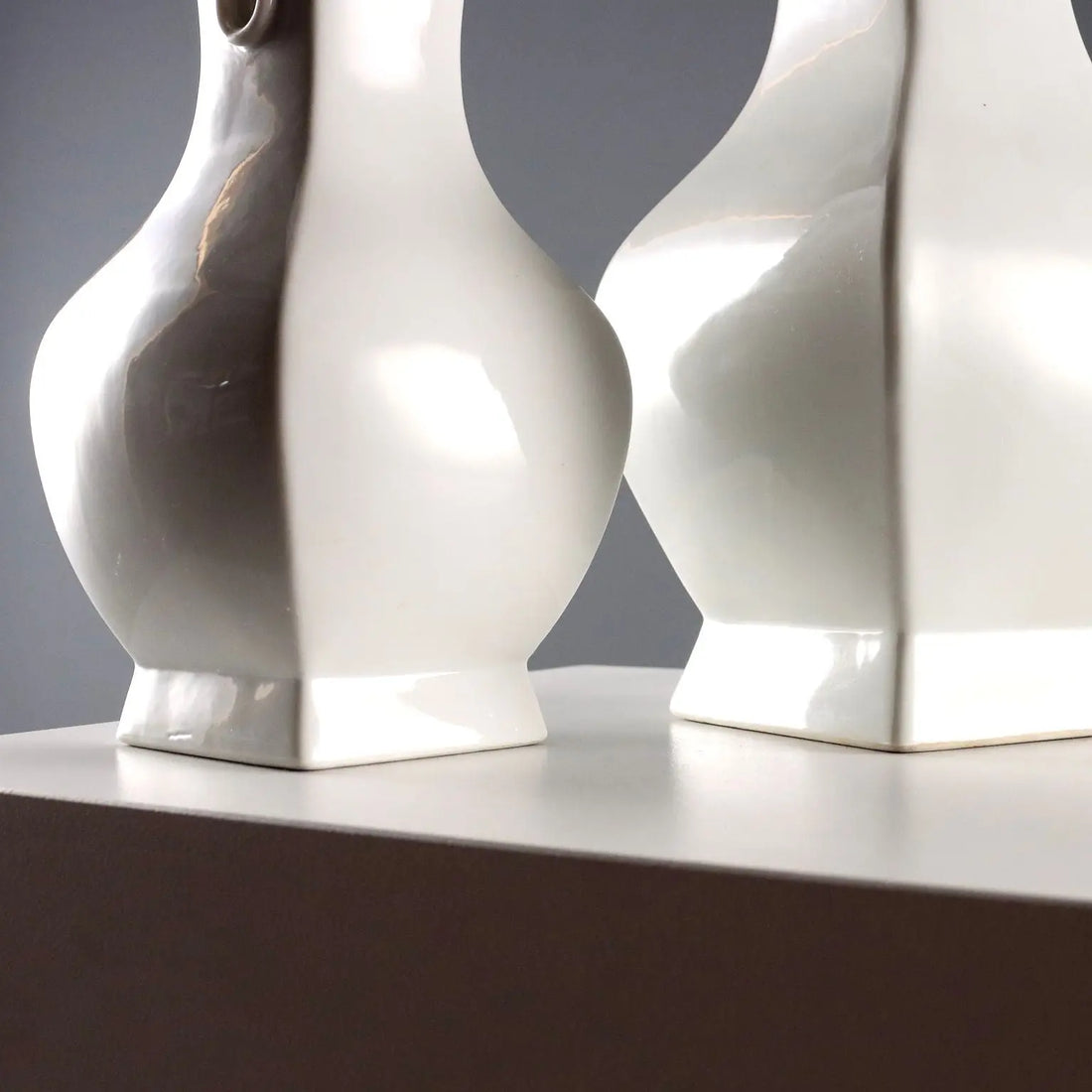 Pair of Chinese Porcelain Vases - 20th Century