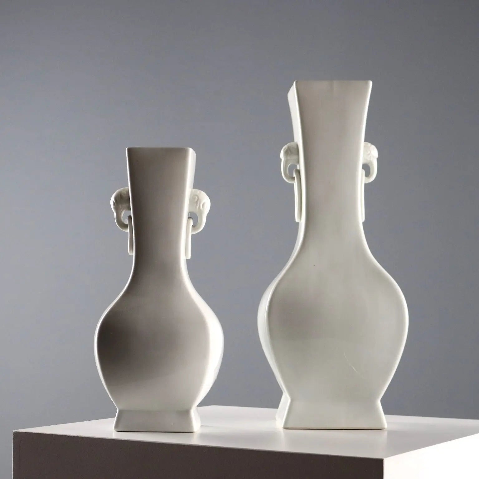 Pair of Chinese Porcelain Vases - 20th Century