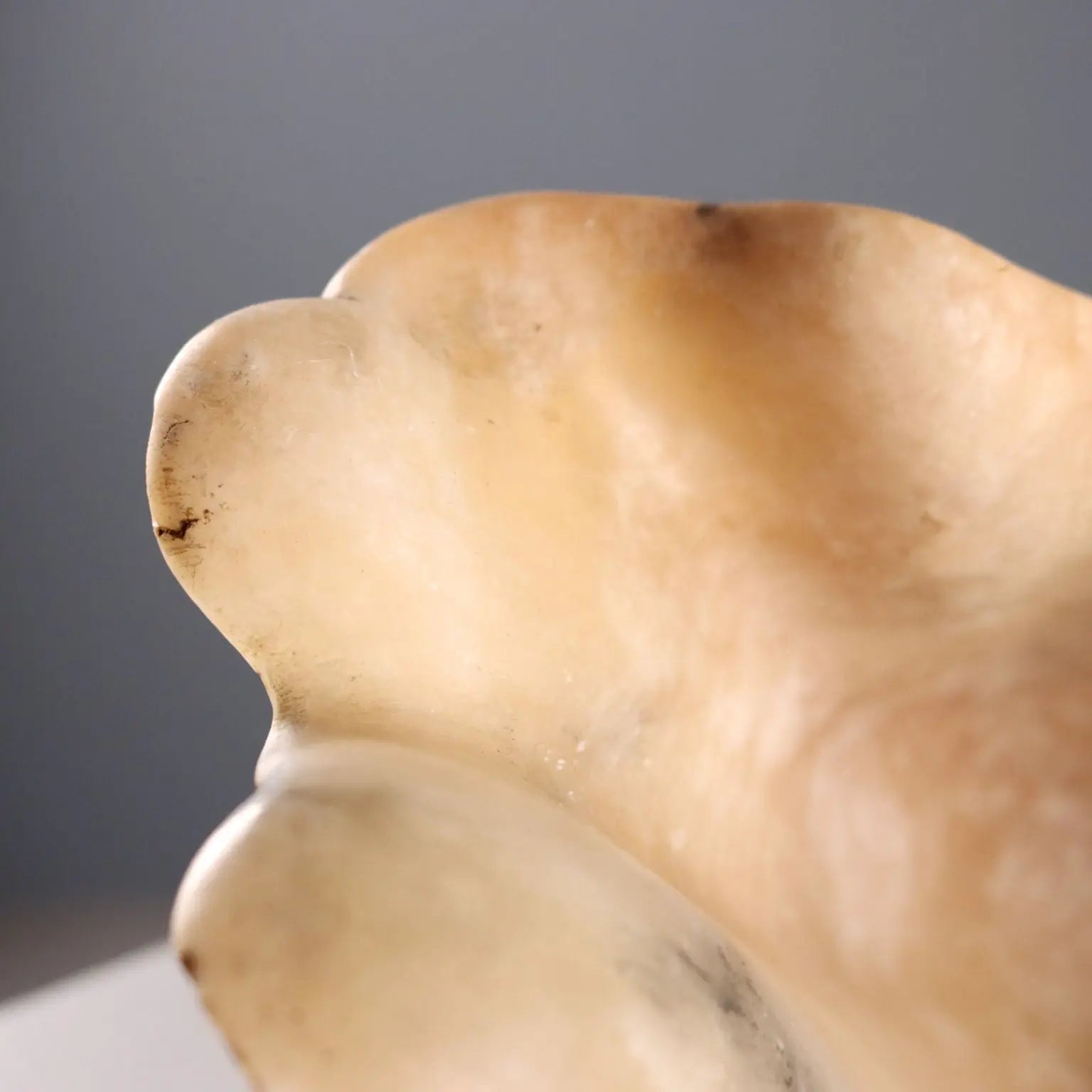 Alabaster Centerpiece in Shell Design