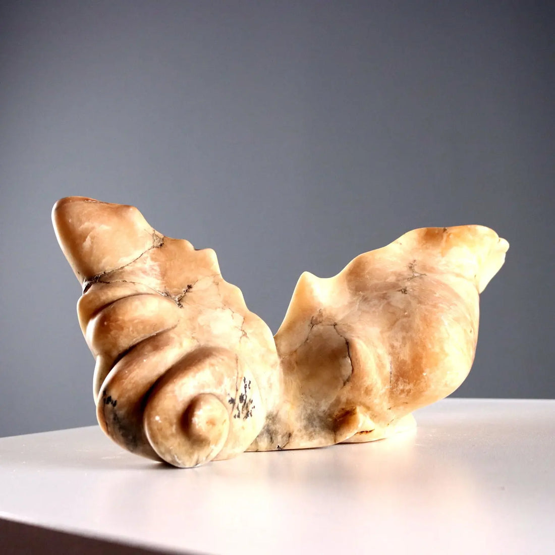 Alabaster Centerpiece in Shell Design