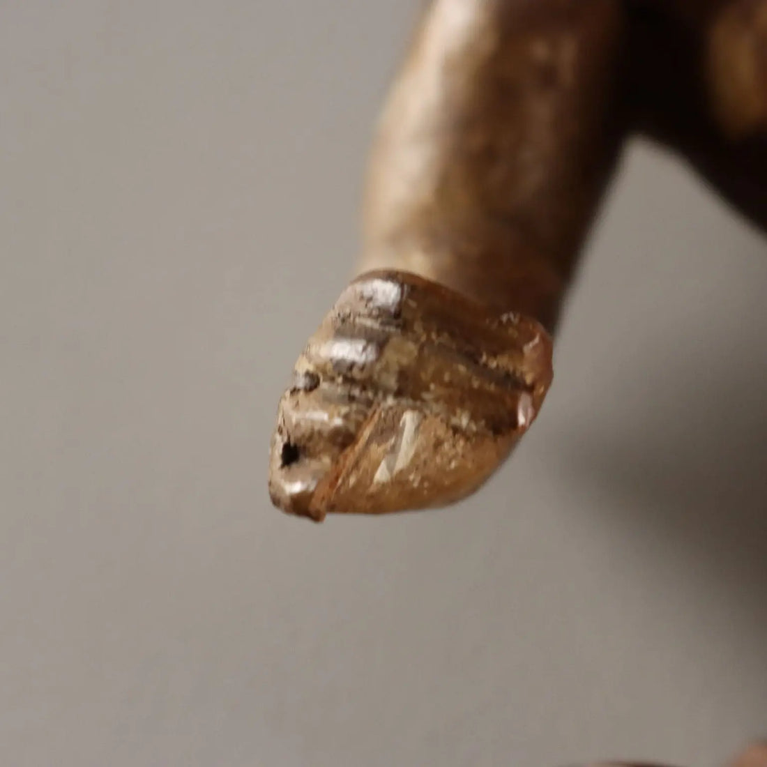 Antique Cherubs Lacquered Gilded Carved Wood Italy XVIII Century - Central Italy, XVIII Century | Antiques | Fancy Goods