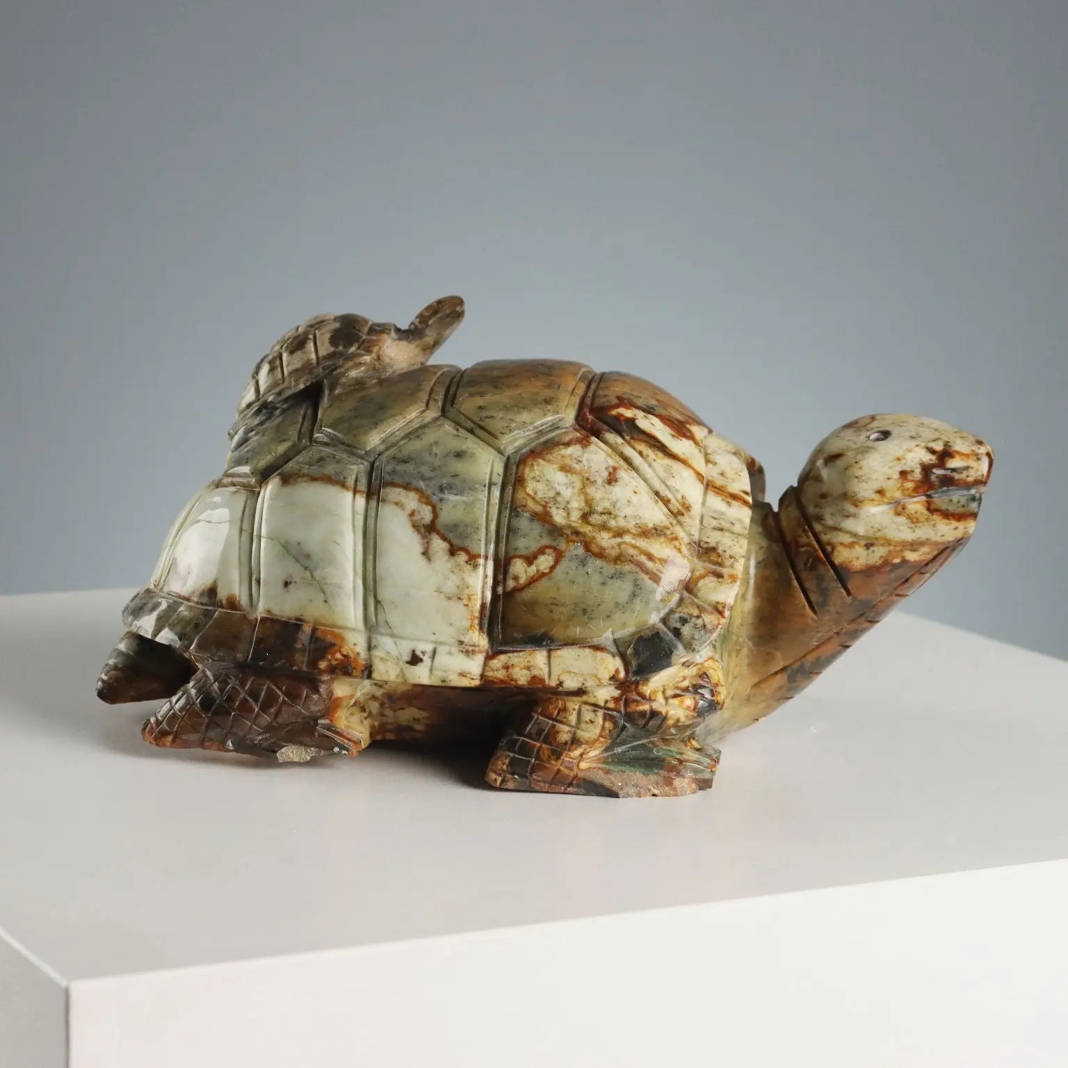 Modern Sculpture Turtle Hard Stone Italy XX Century - Asia, XX Century | Antiques | Fancy Goods