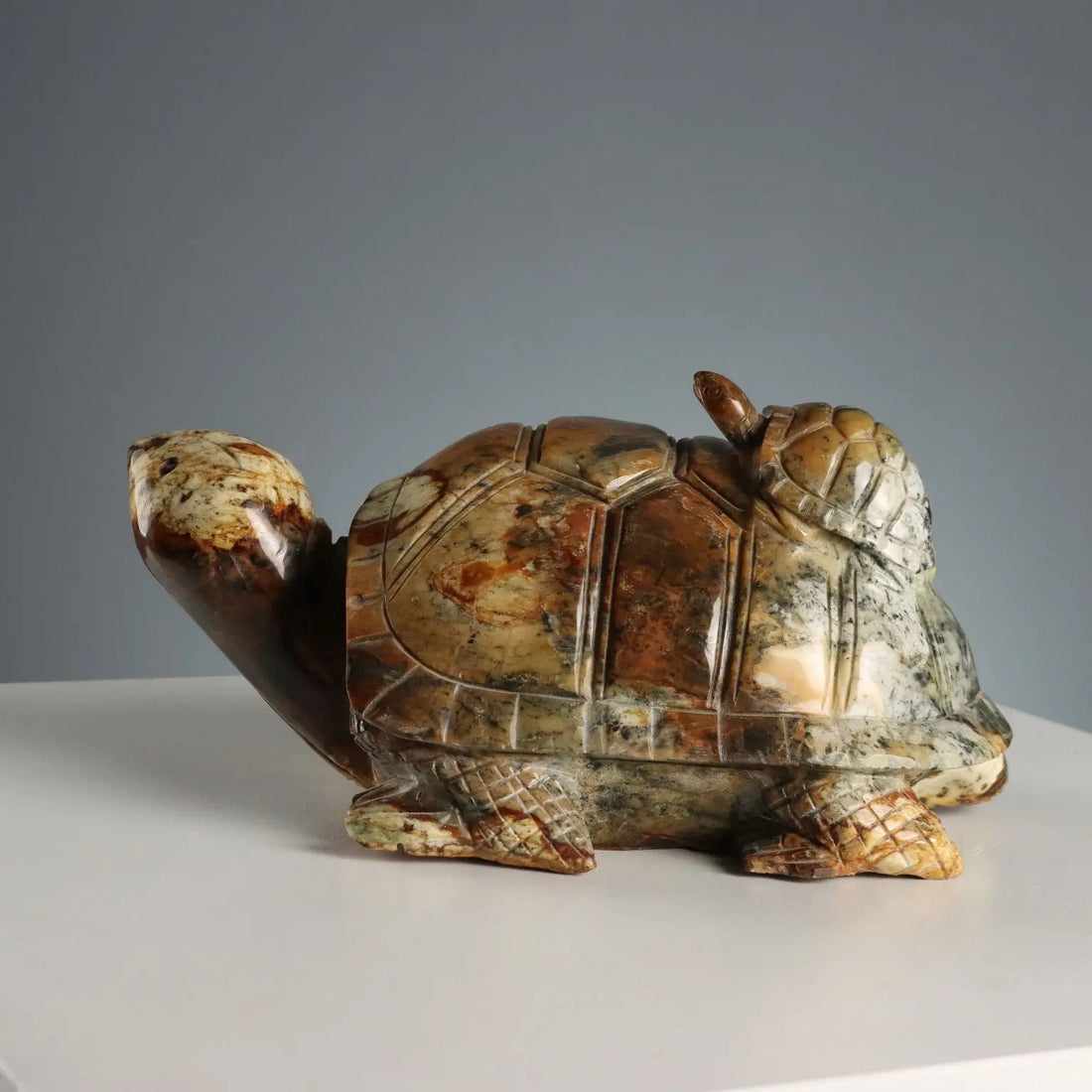 Modern Sculpture Turtle Hard Stone Italy XX Century - Asia, XX Century | Antiques | Fancy Goods