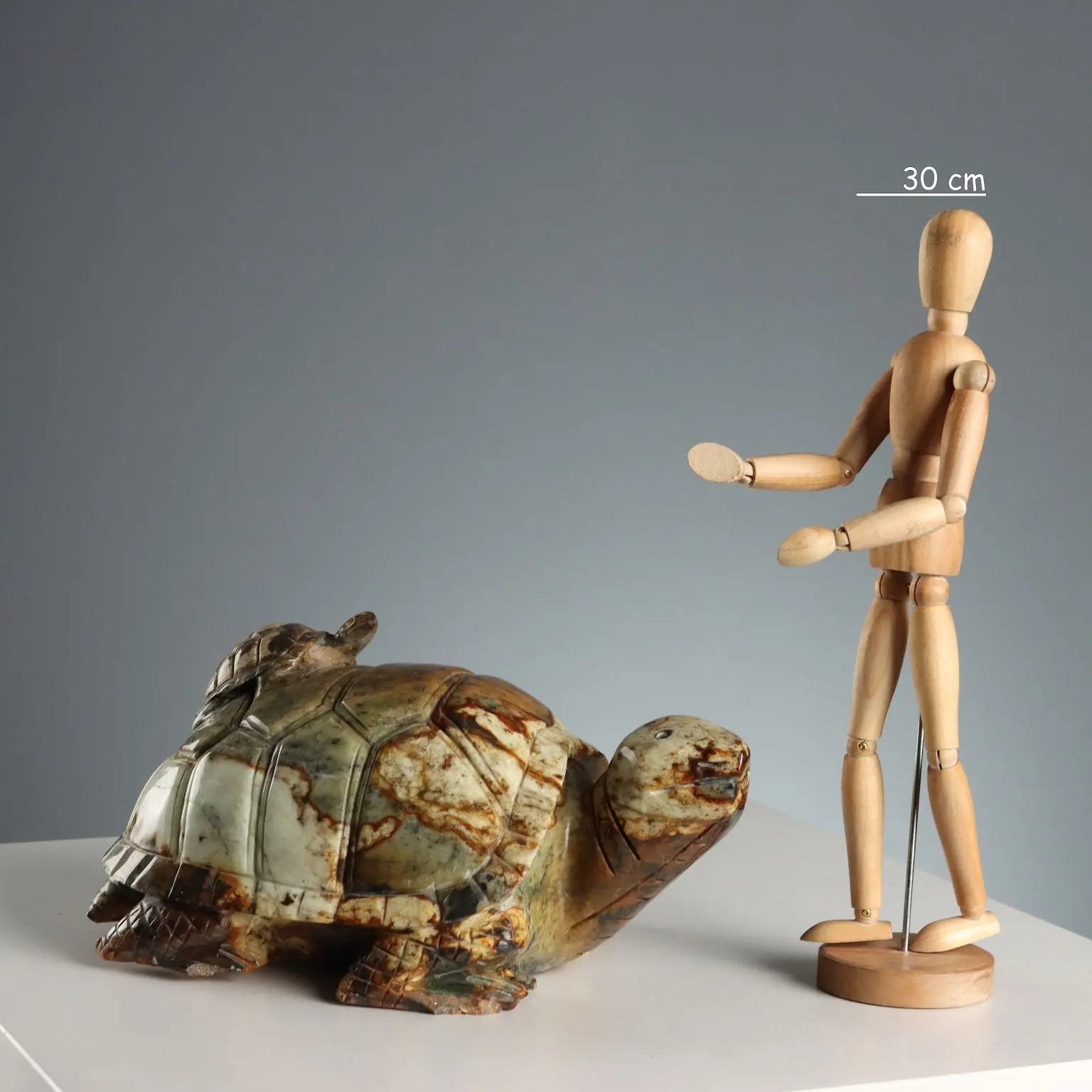 Modern Sculpture Turtle Hard Stone Italy XX Century - Asia, XX Century | Antiques | Fancy Goods