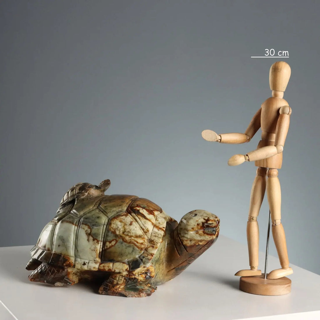 Modern Sculpture Turtle Hard Stone Italy XX Century - Asia, XX Century | Antiques | Fancy Goods