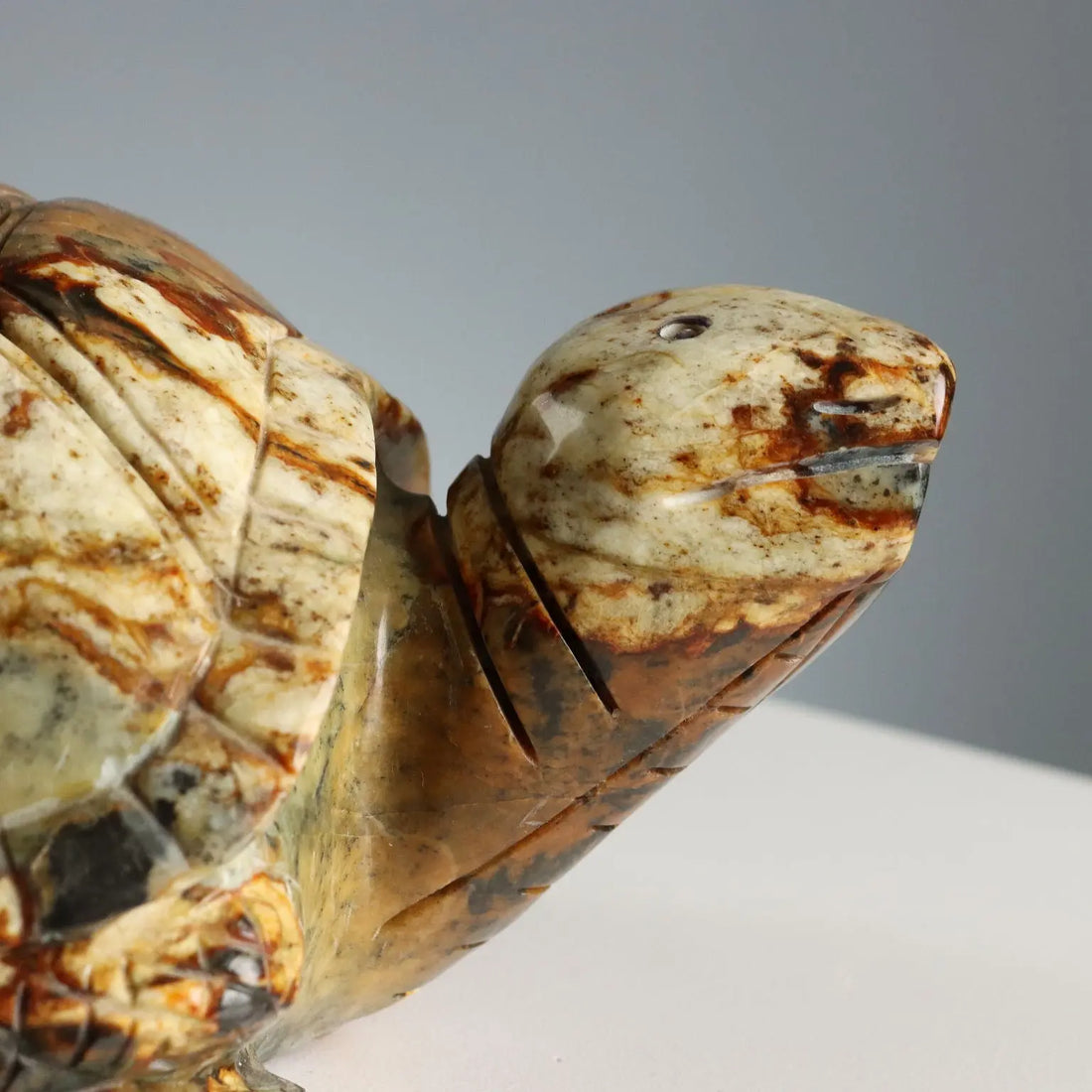 Modern Sculpture Turtle Hard Stone Italy XX Century - Asia, XX Century | Antiques | Fancy Goods